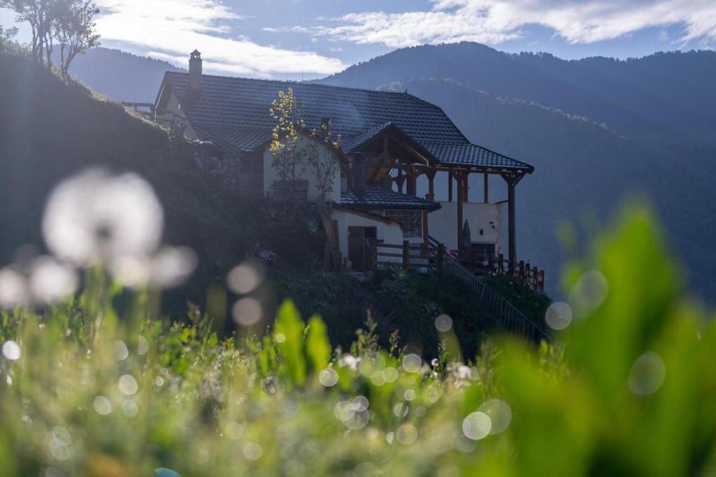 Zeneli Alpin Chalet image 2