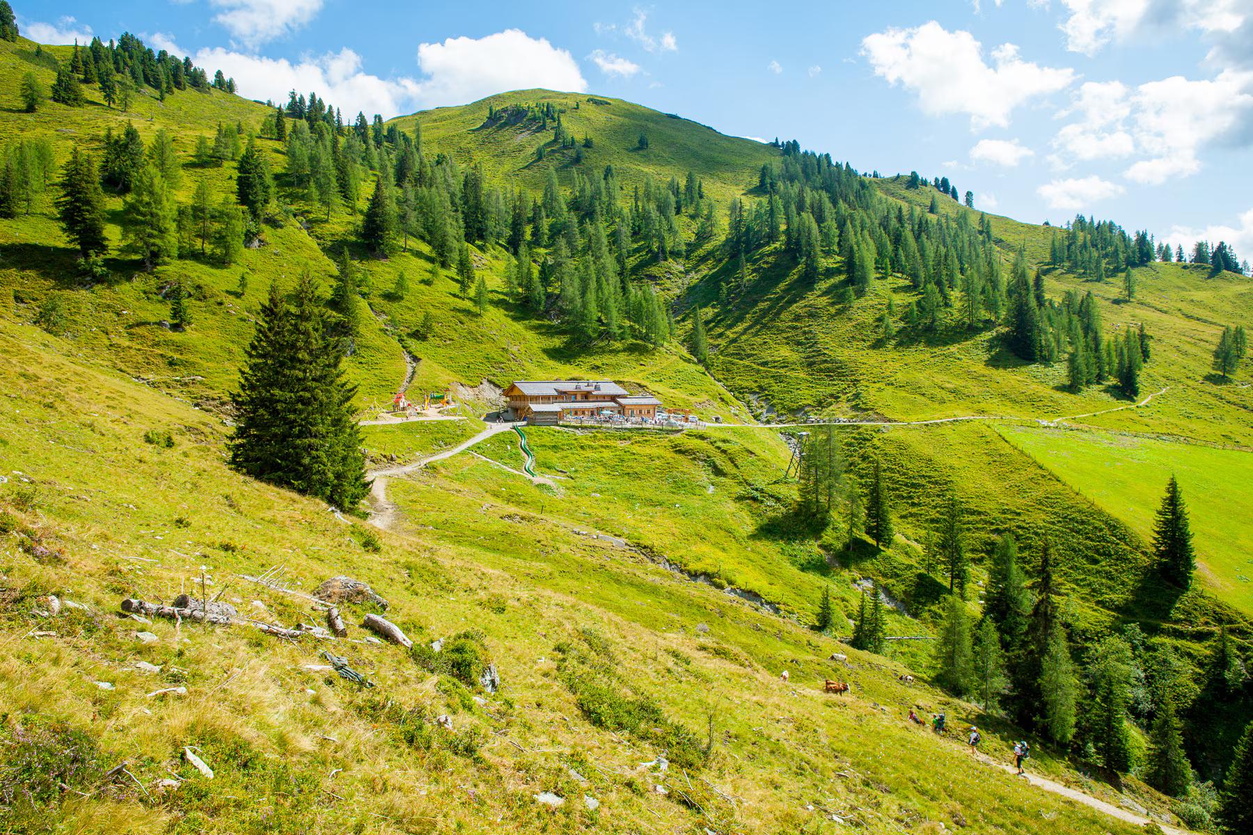 Loosbühelalm image 2