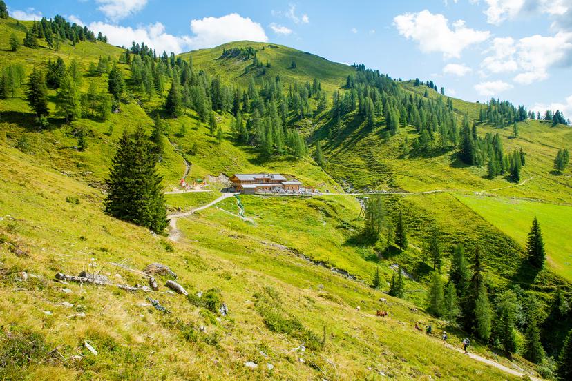 Loosbühelalm image 1