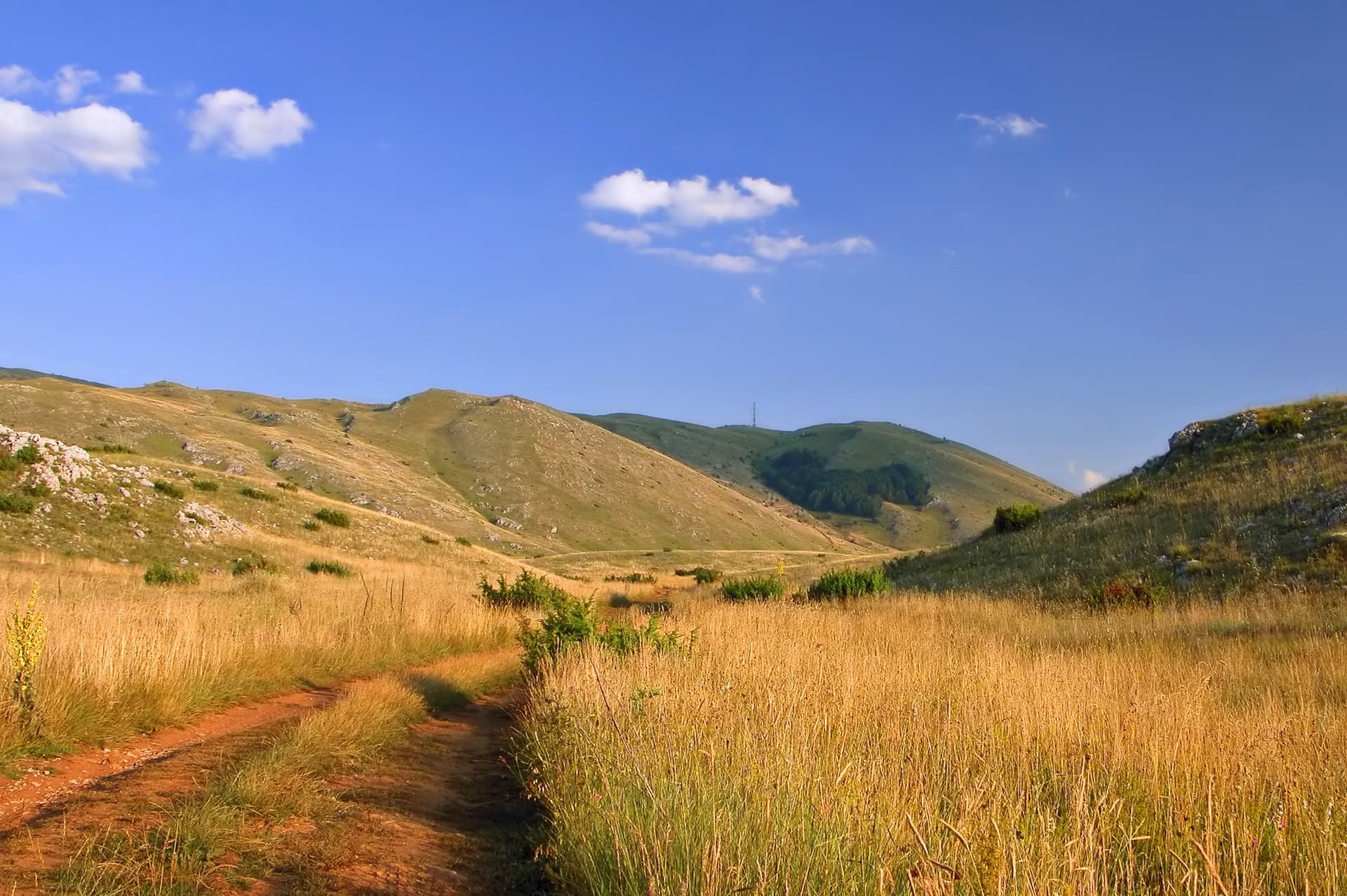 Dirt path through dry golden grass leading toward rolling hills under a bright blue sky.