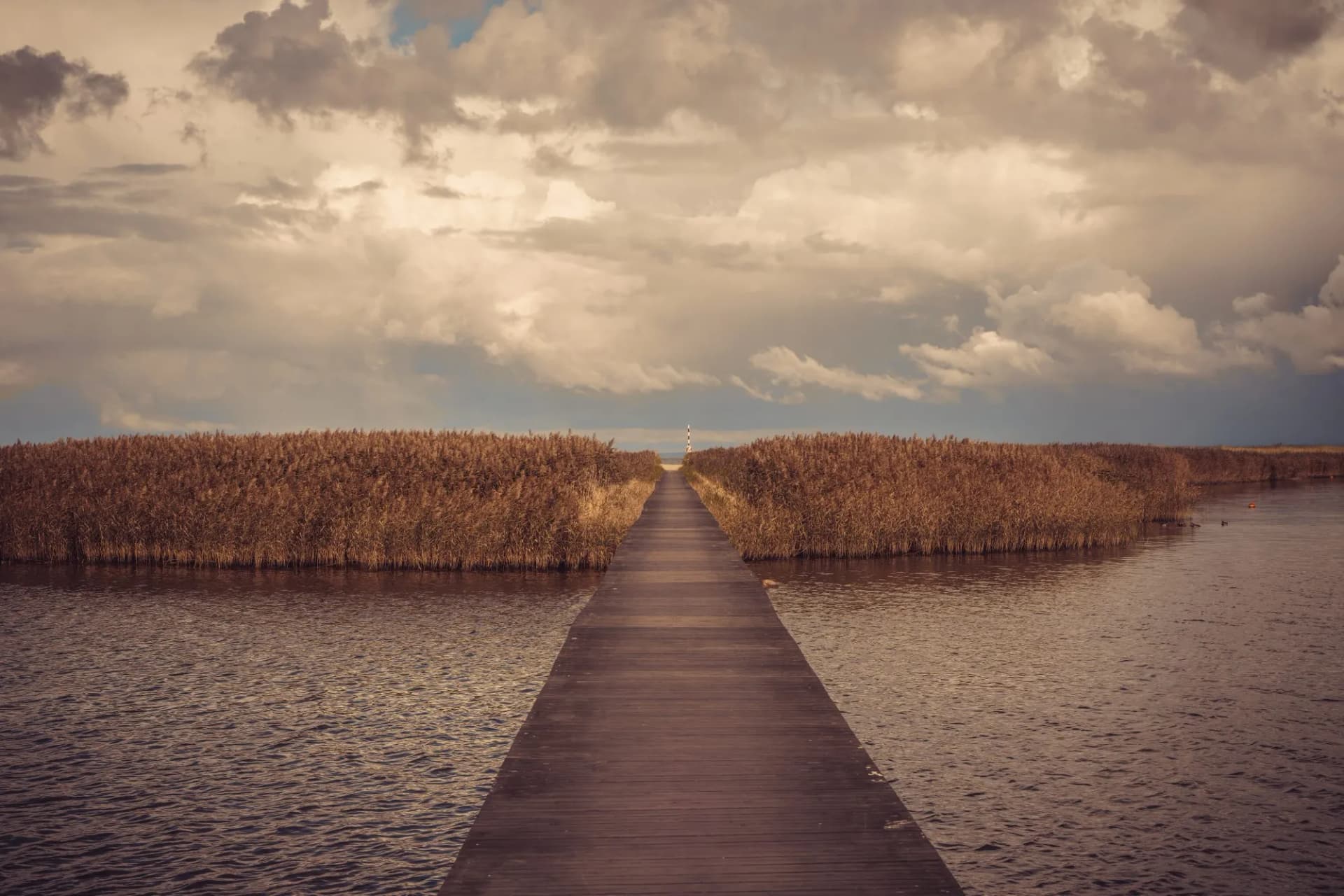 Wooden jetty over sea leading to a island (nature reserve) in Utvalinge, Sweden. Selective focus.