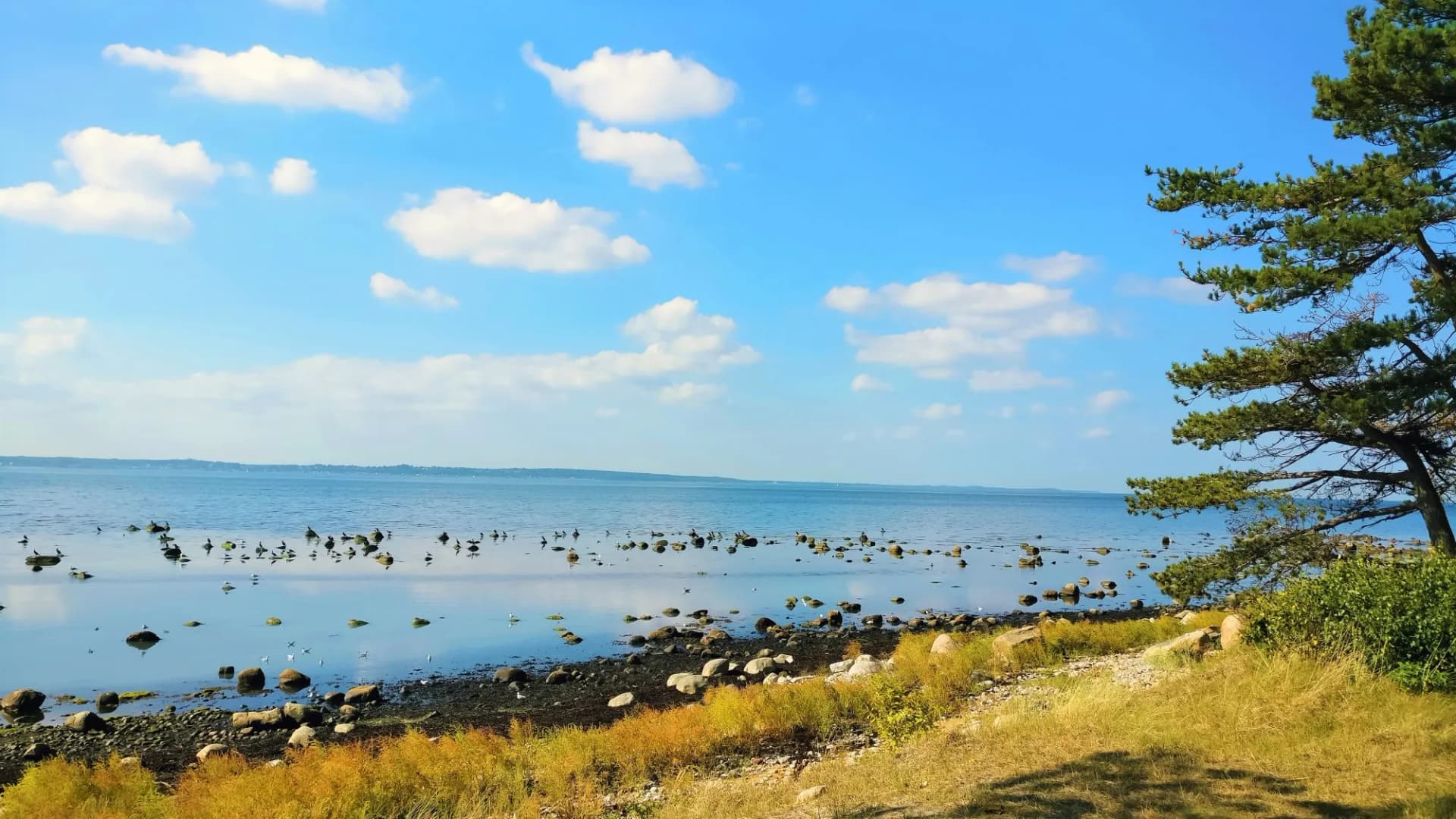 Sea view at Hittarp, Helsingborg, Sweden