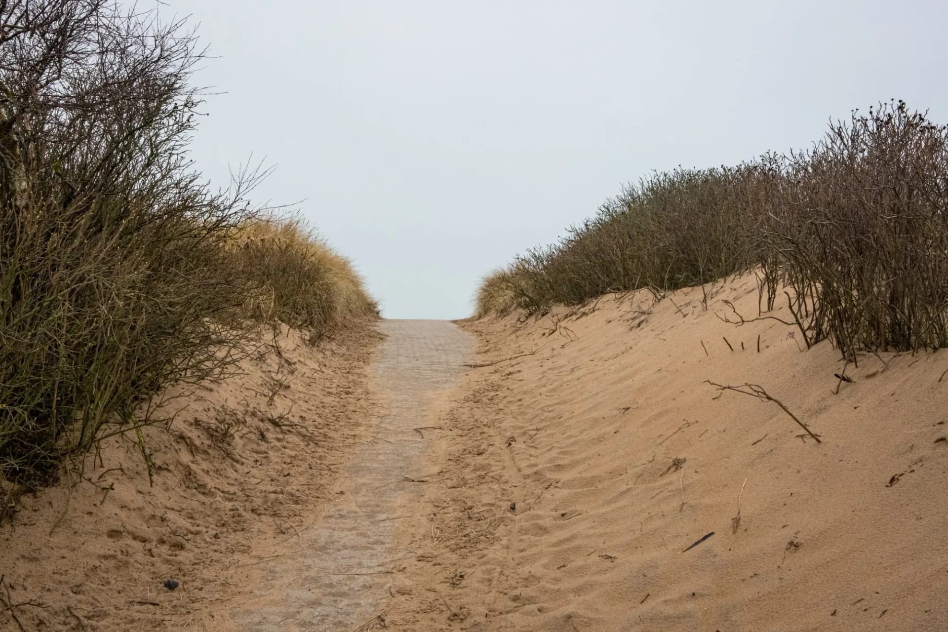 Path to beach on Angelholm beach, Sweden