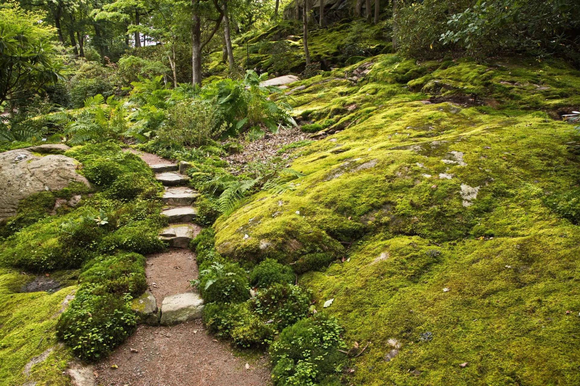 Footpath in botanical garden in Göteborg, Sweden, Europe