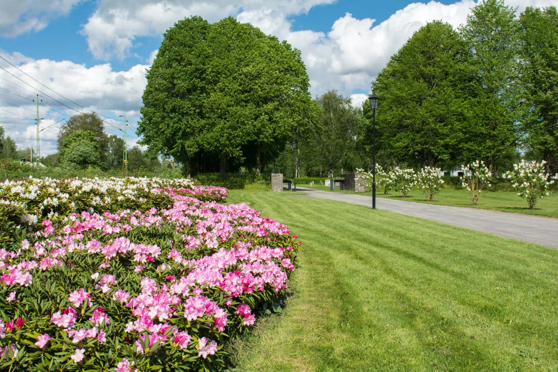 Garden beside the church in Lerum,Sweden