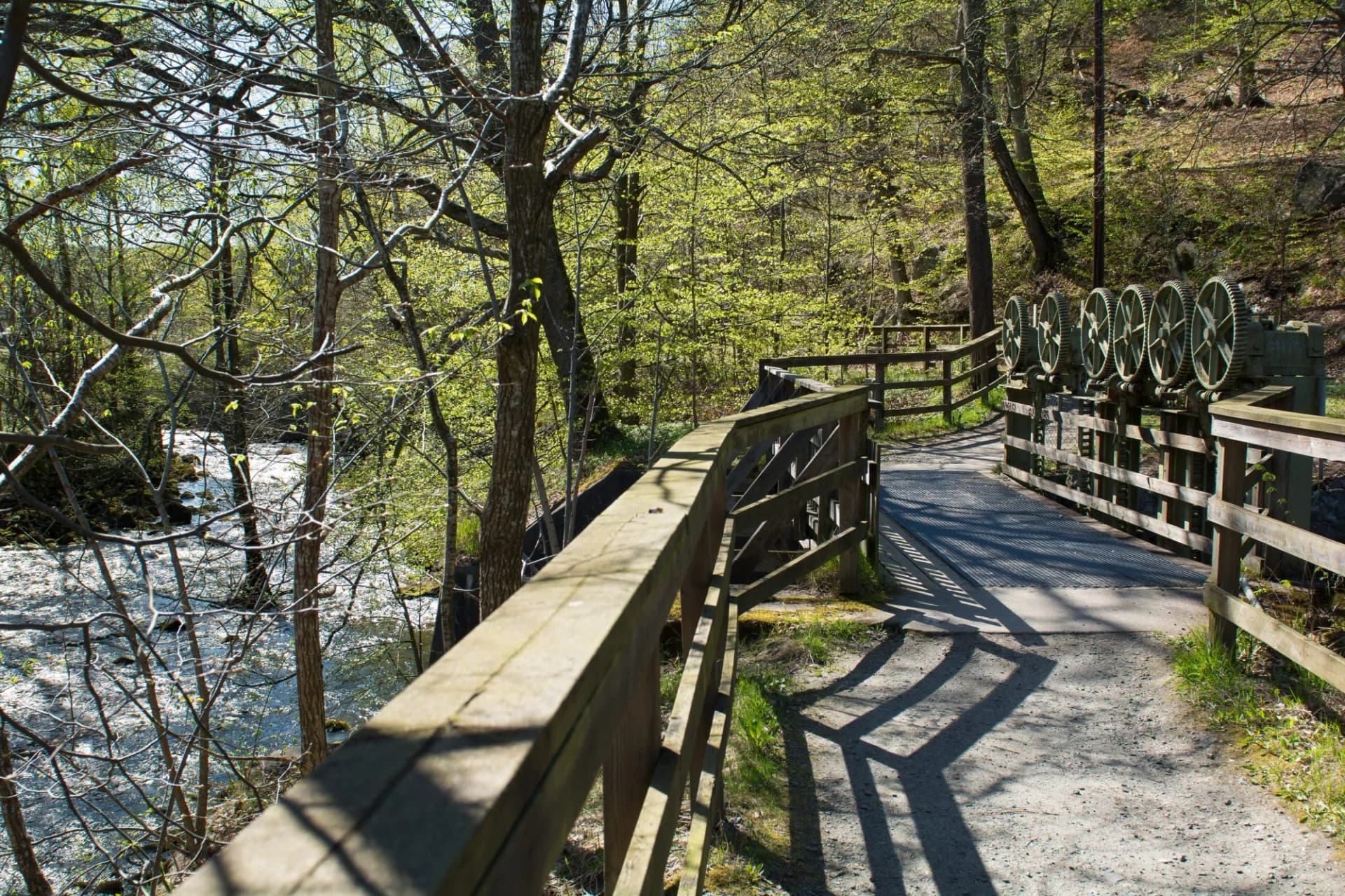 Walkway in the nature in Sweden