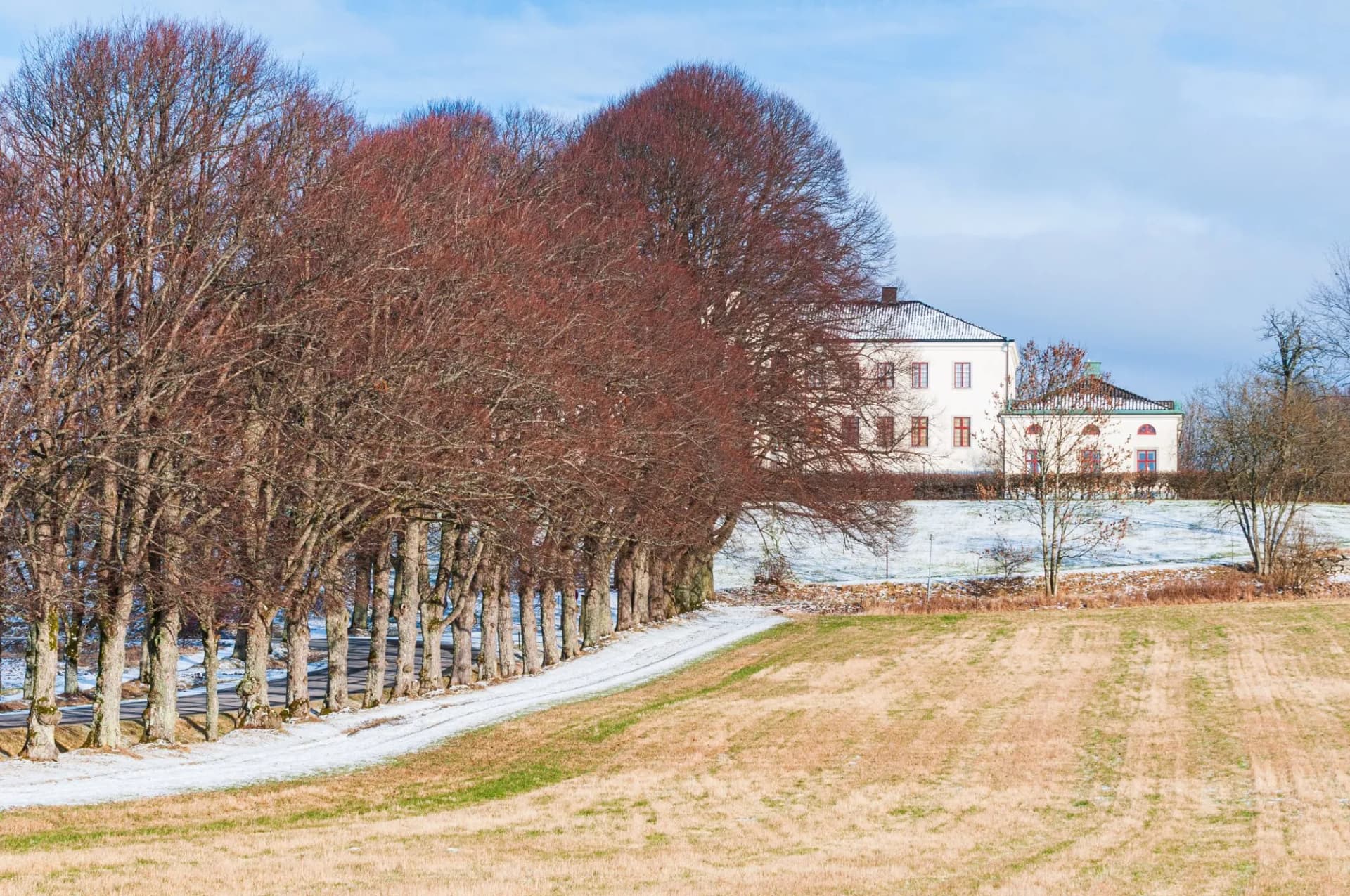 Tree alley in front of manor house