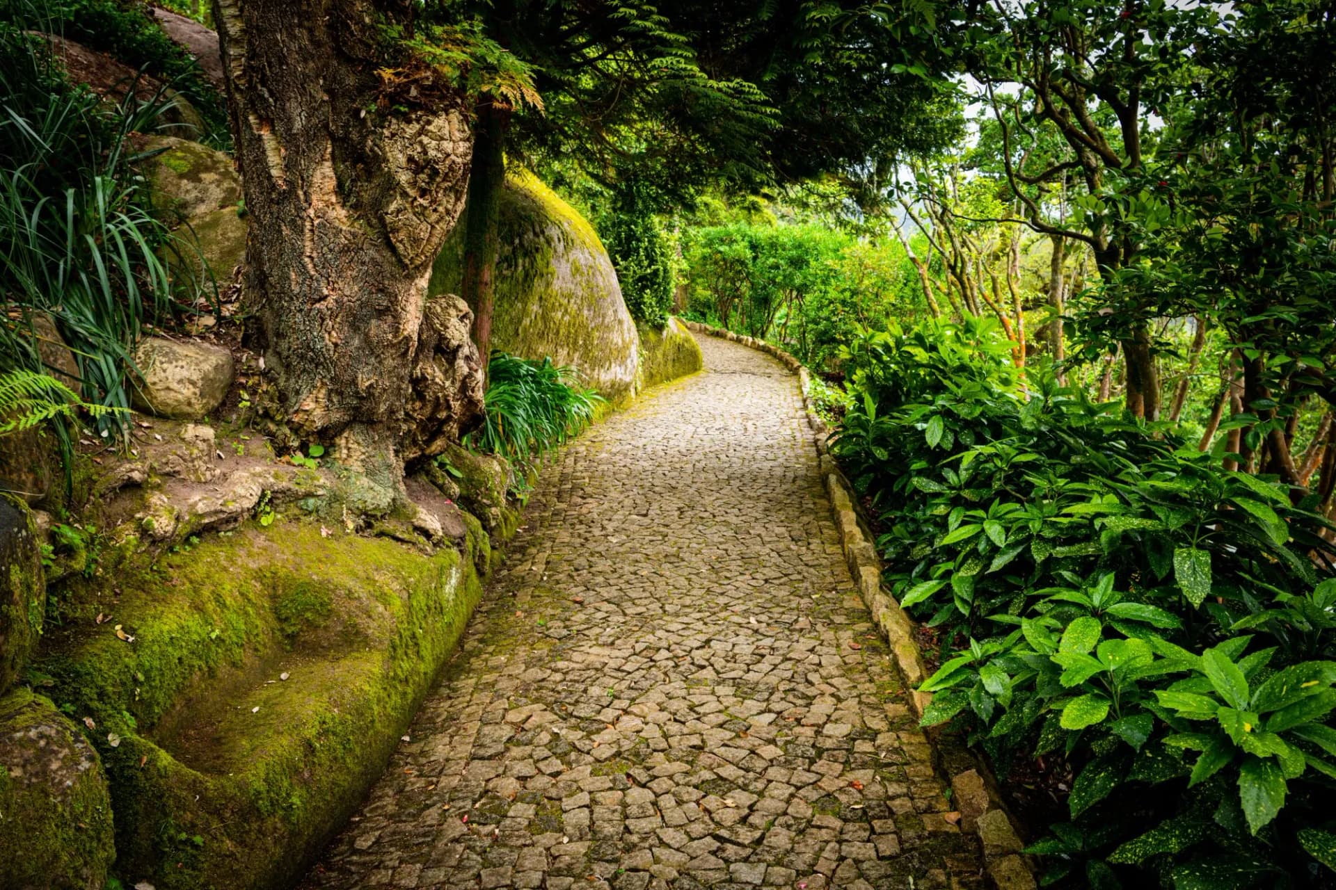 Ancient stones pave a path in Sintra