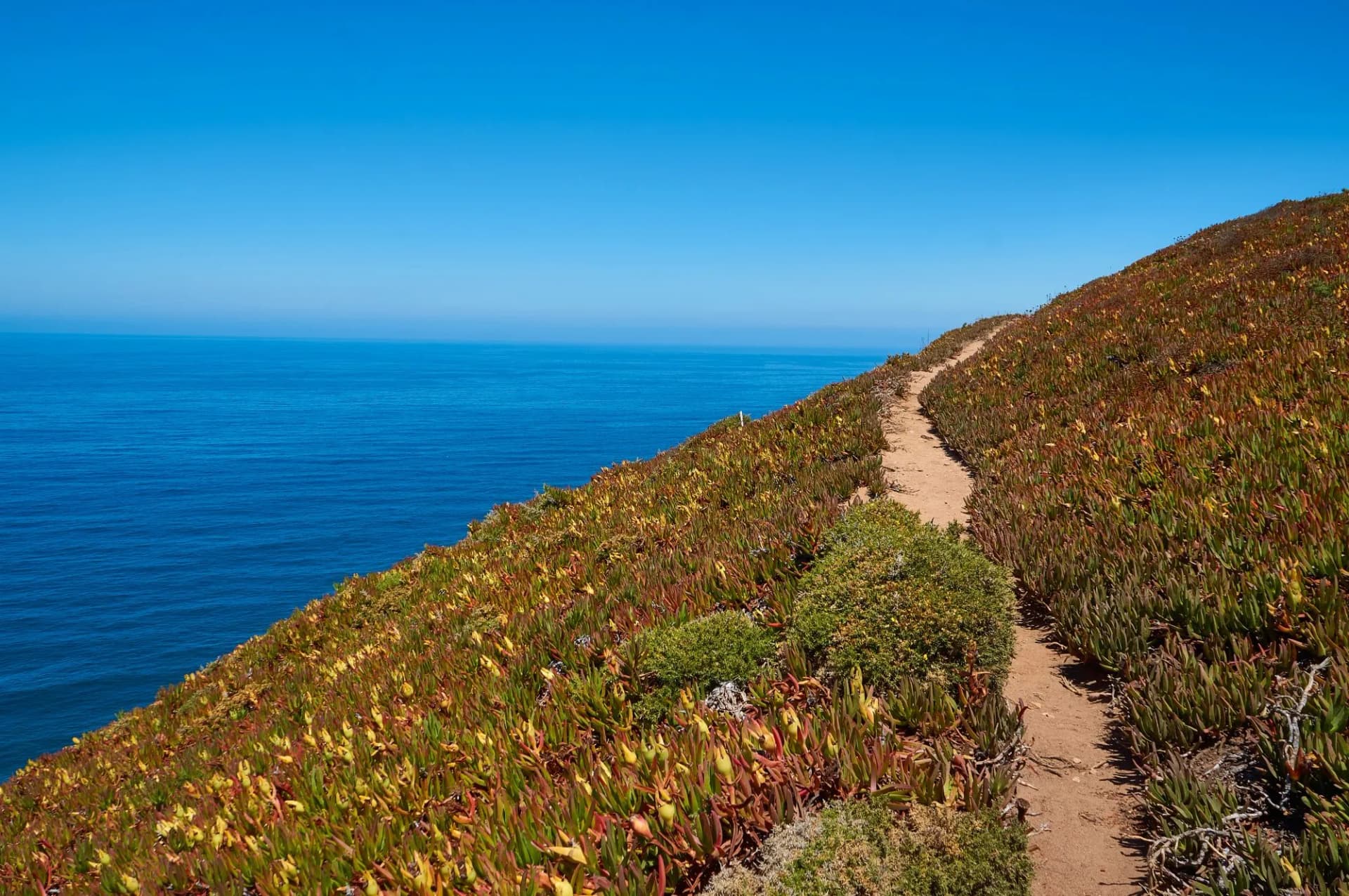 Winding coastal paths with panoramic Atlantic views