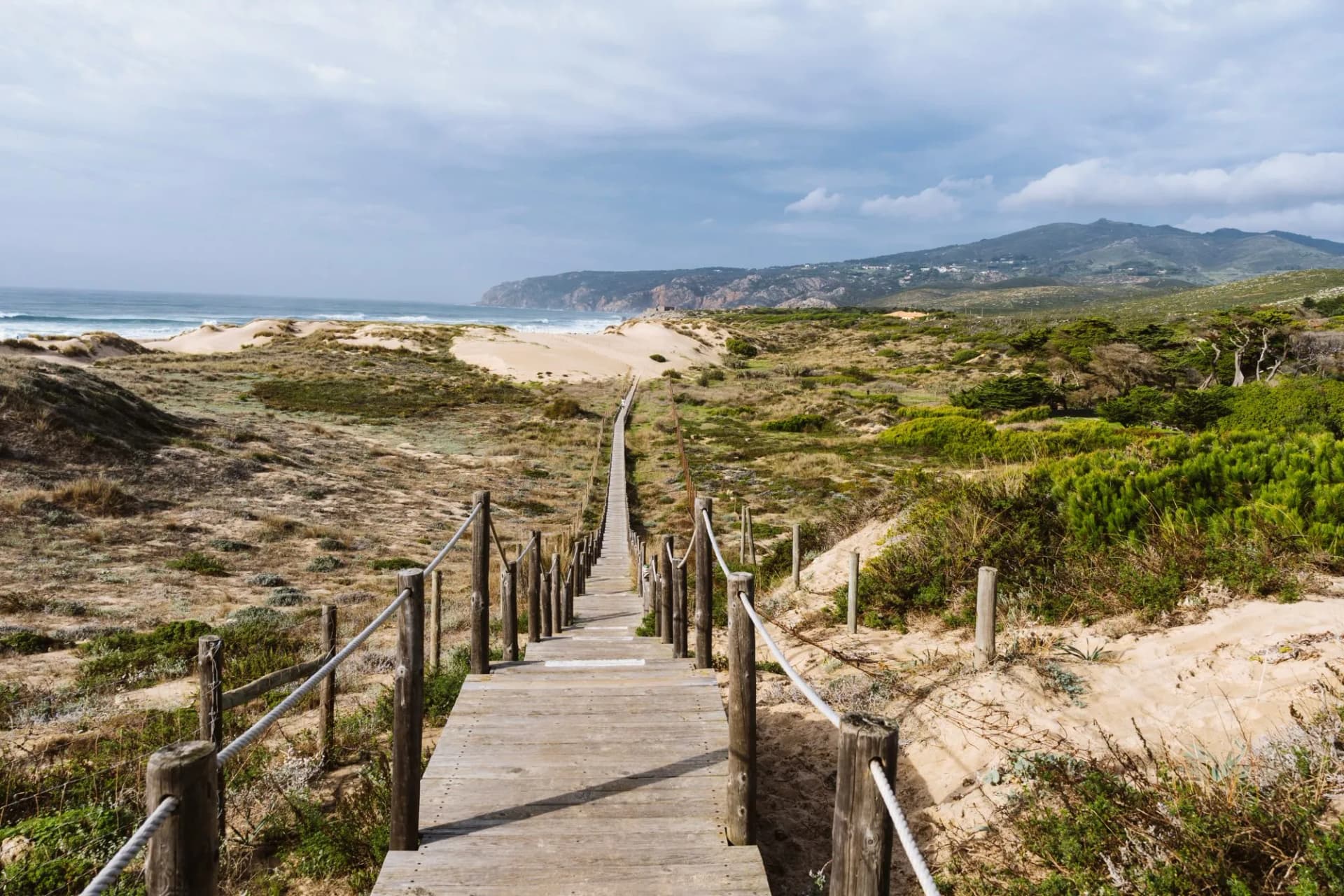 Serene paths through dunes to an untouched beach