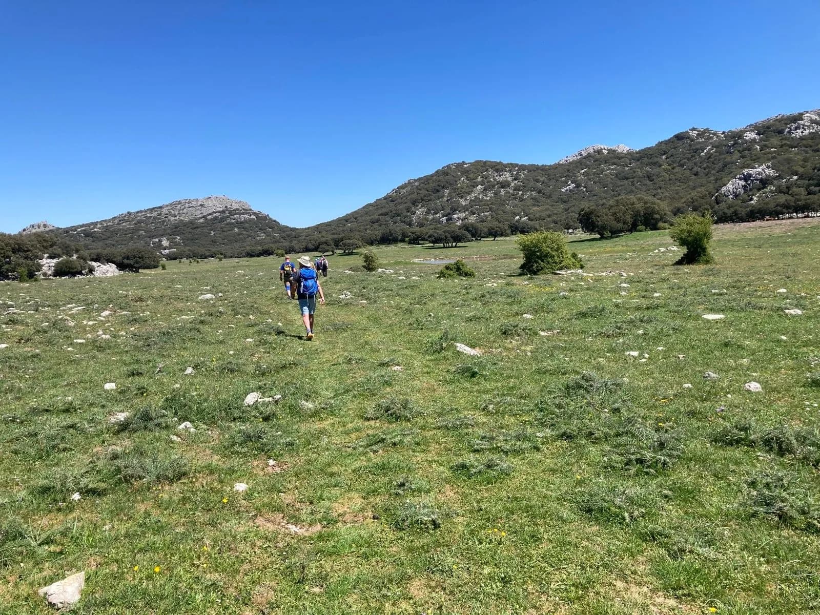 meadows spain pueblos blancos