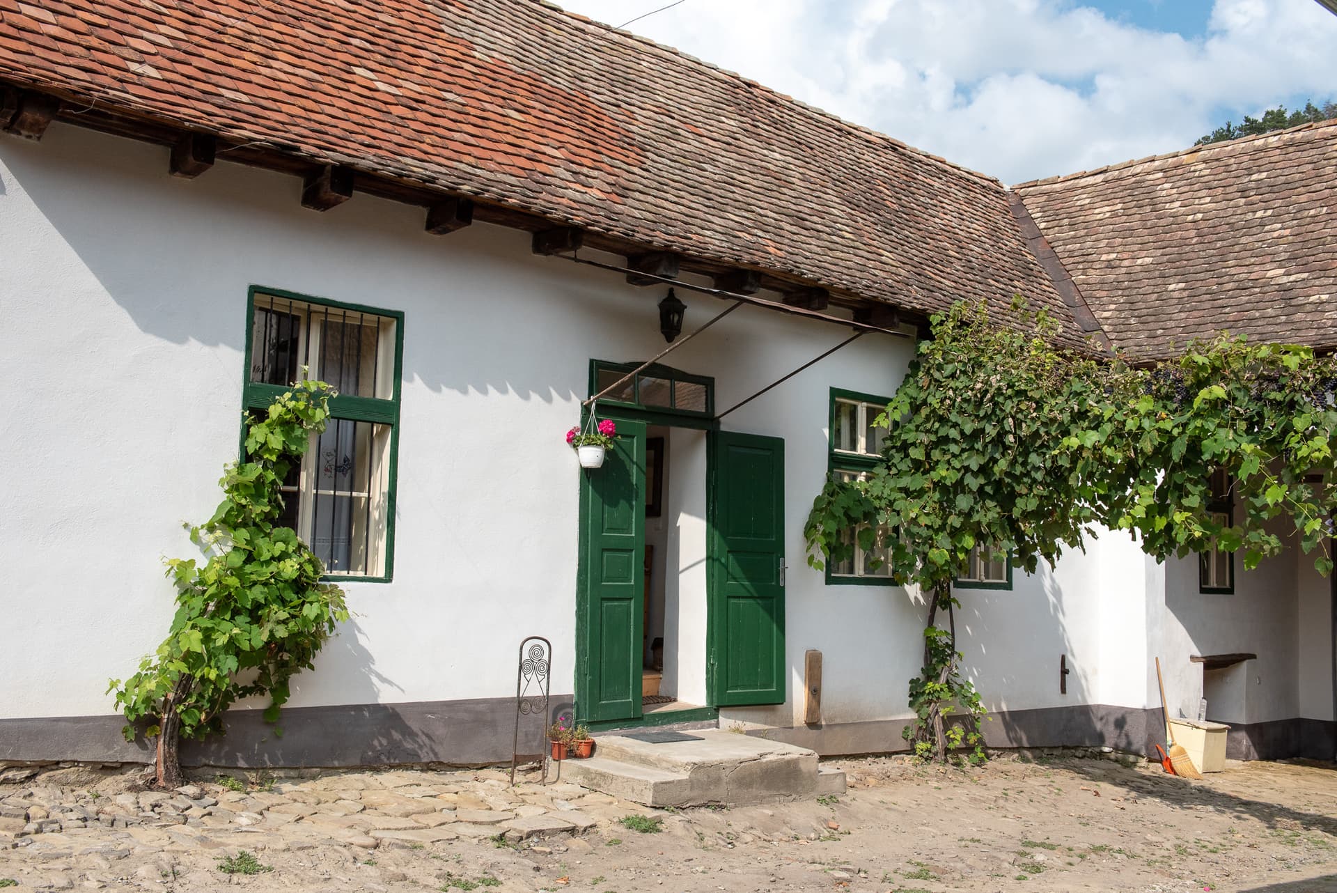 White stucco house with green shutters, terracotta roof, and grapevines outside in Transylvania.