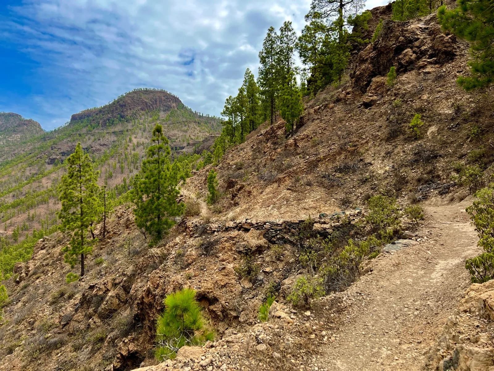 path to san bartolome