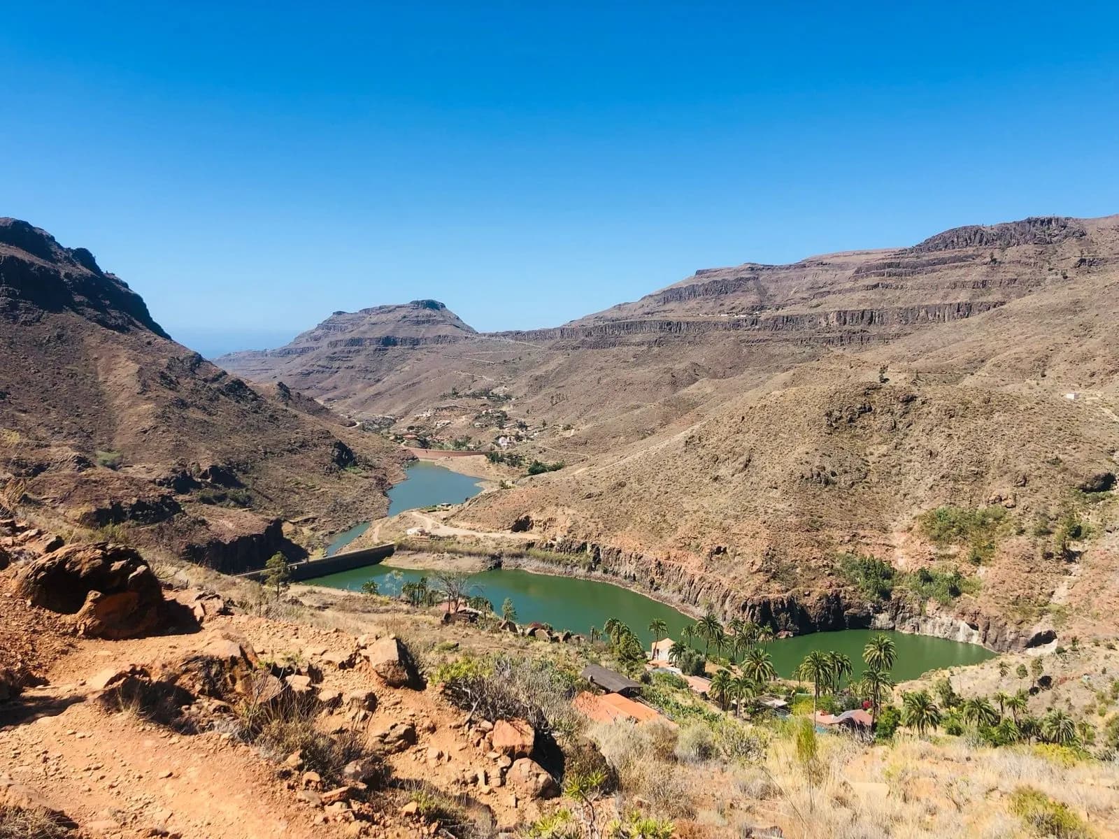 oasis on the way to San Bartolomé de Tirajana