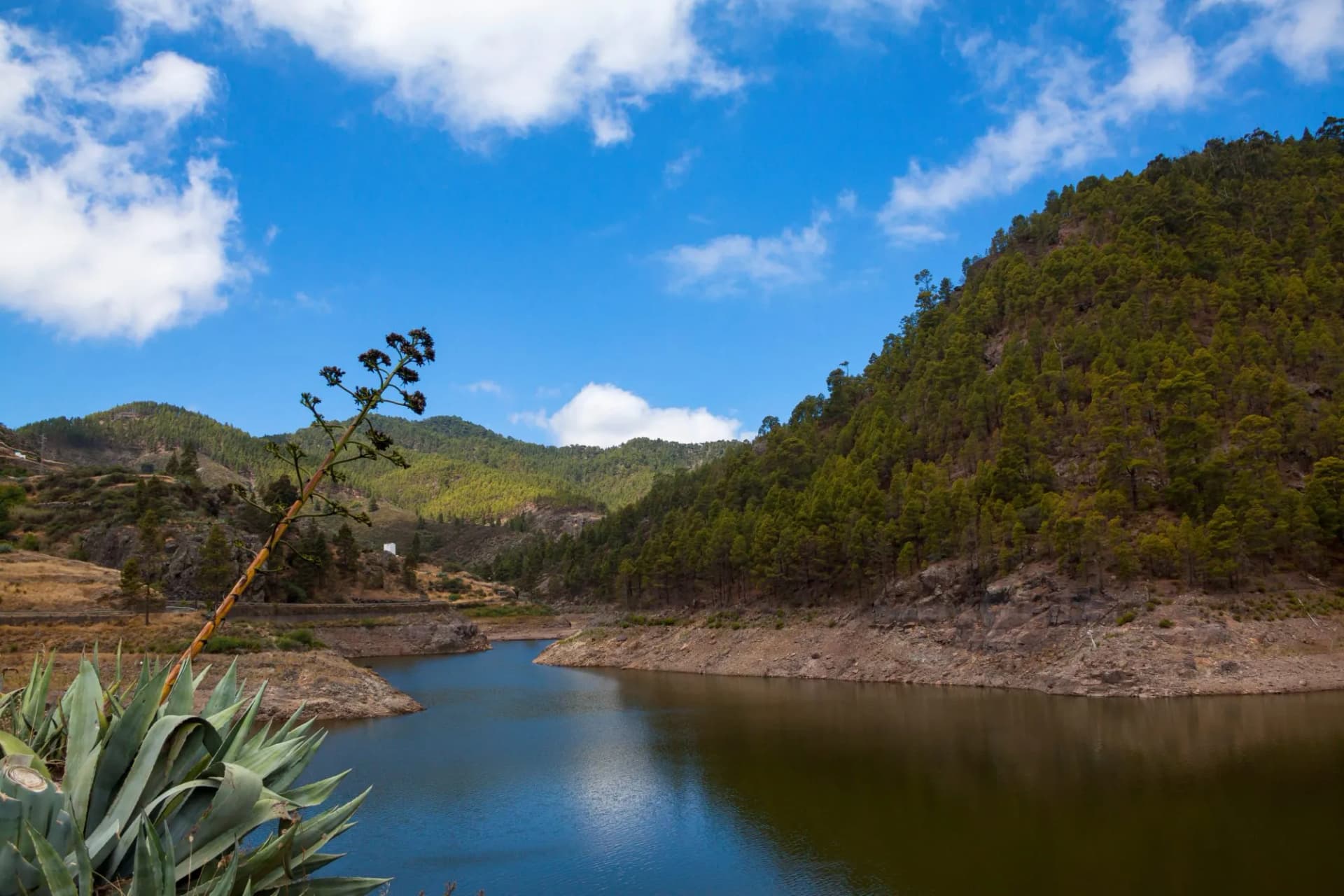 Presa de Lugarejos, Gran Canaria