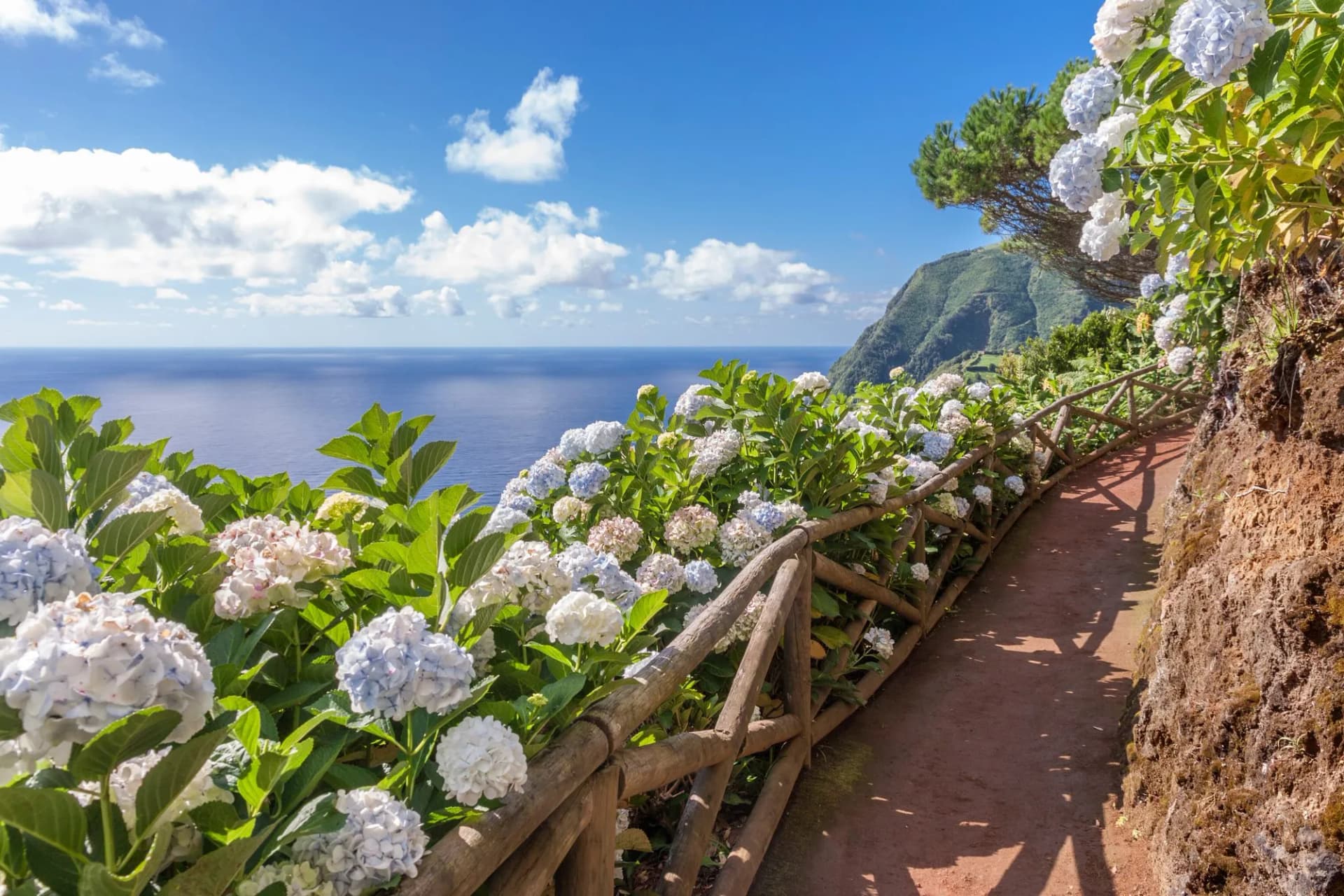 Trails framed by vibrant hydrangeas