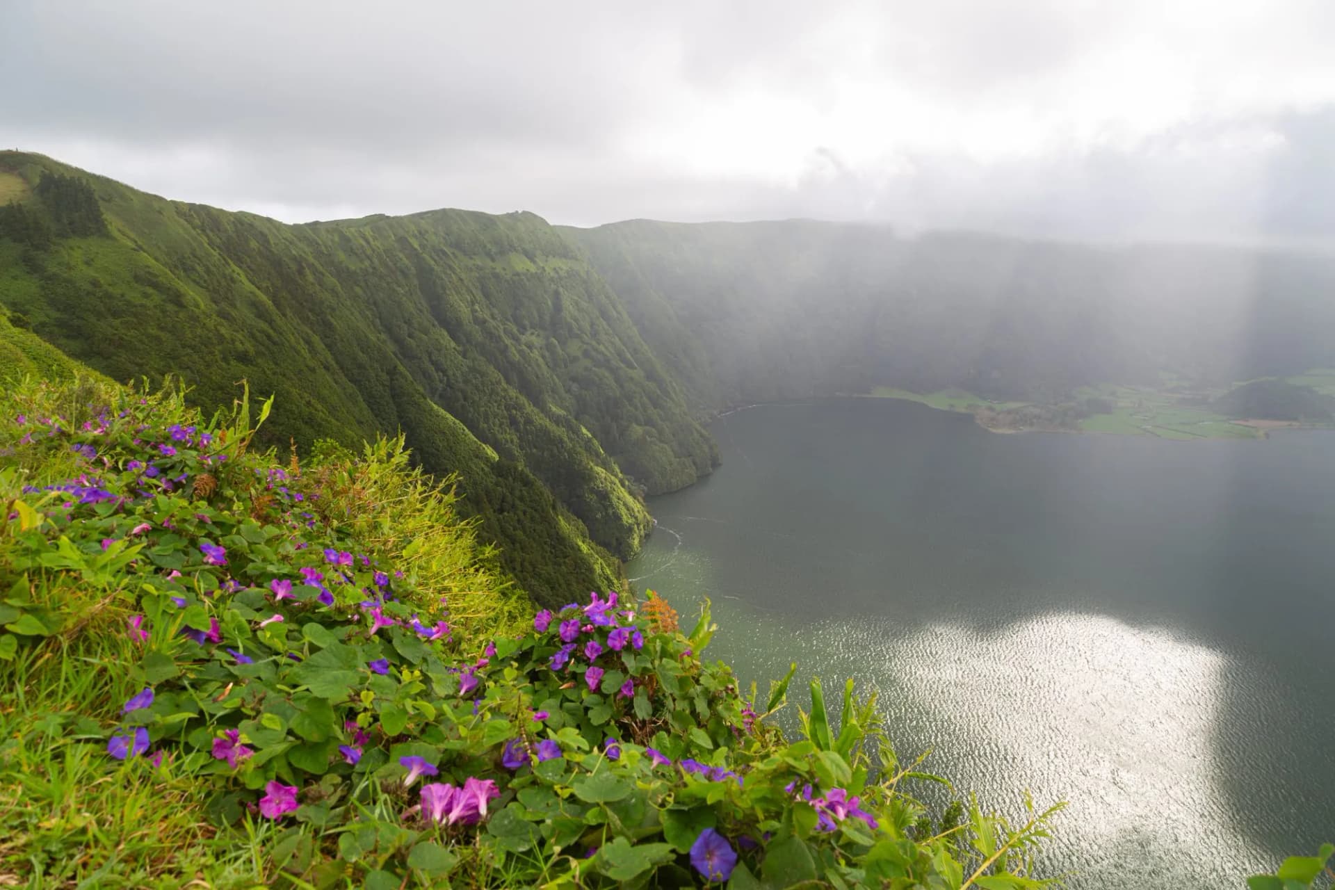 Flower-strewn crater walls in vivid bloom
