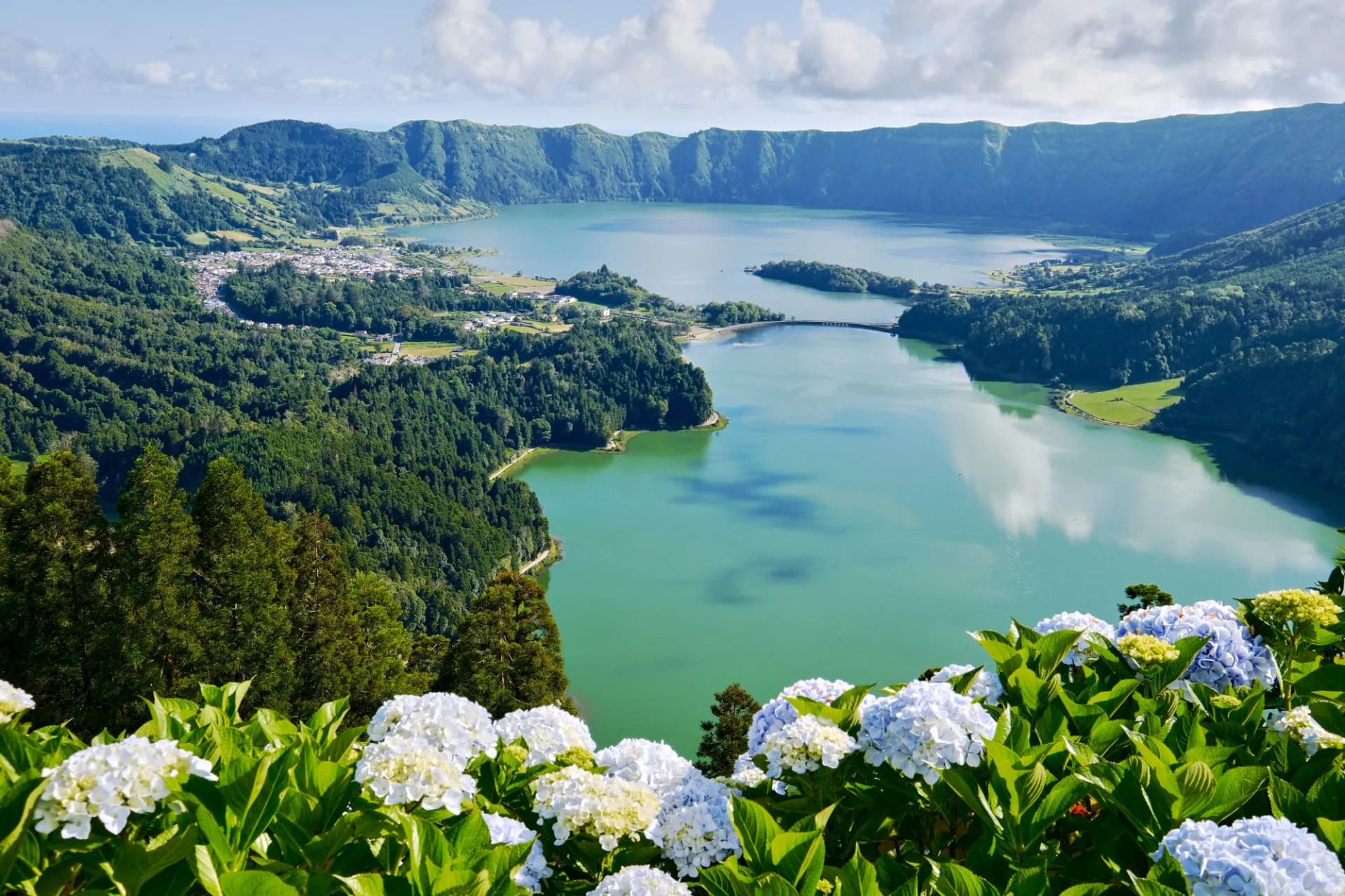 Sete Cidades Crater flowers