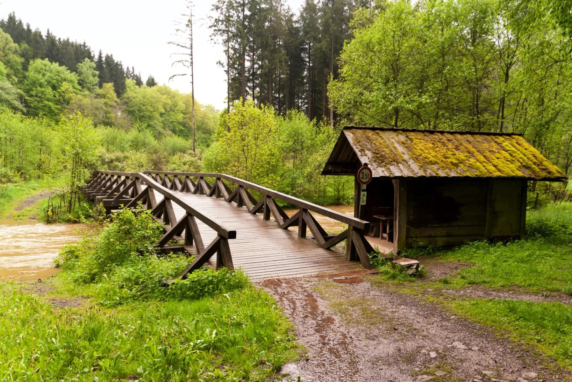 On the Hiking Trail Eifelsteig