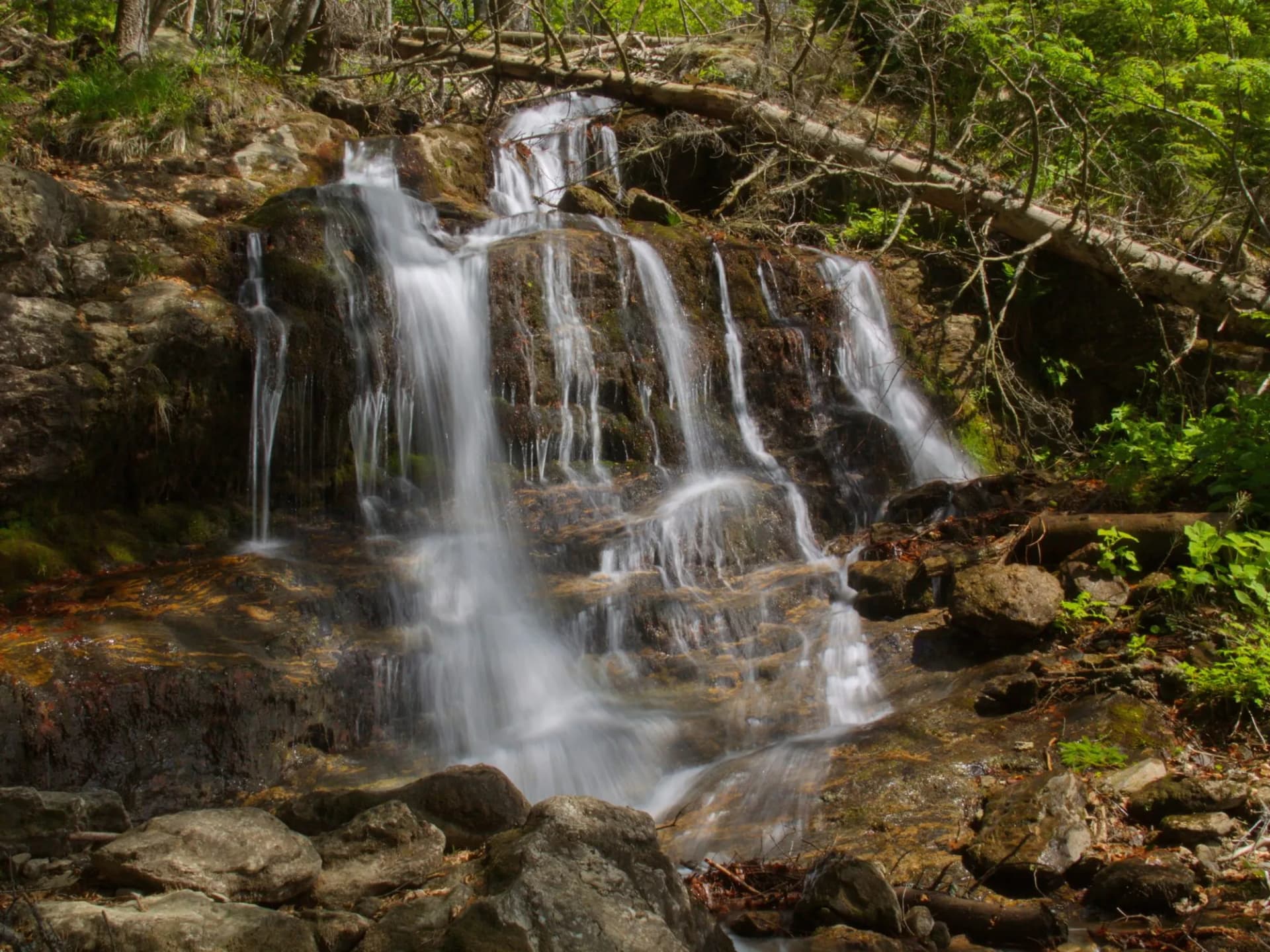 Waterfall at Grosser Falkenstein