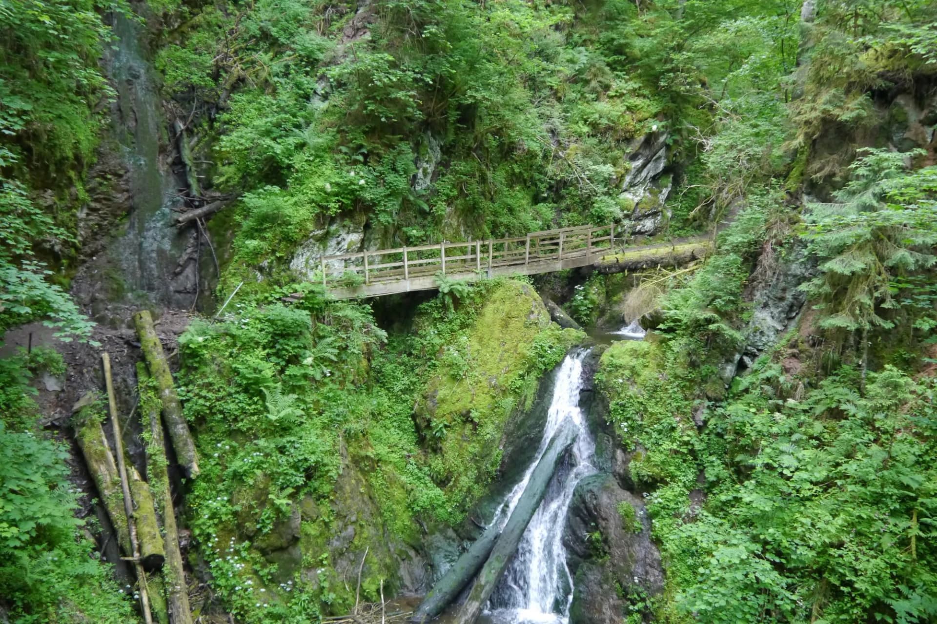 Lotenbachklamm Wutachschlucht im Schwarzwald