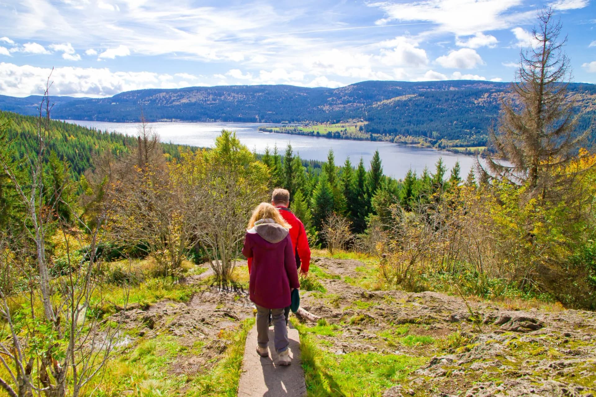 Wandern im Schwarzwald - Schluchsee, Bildstein