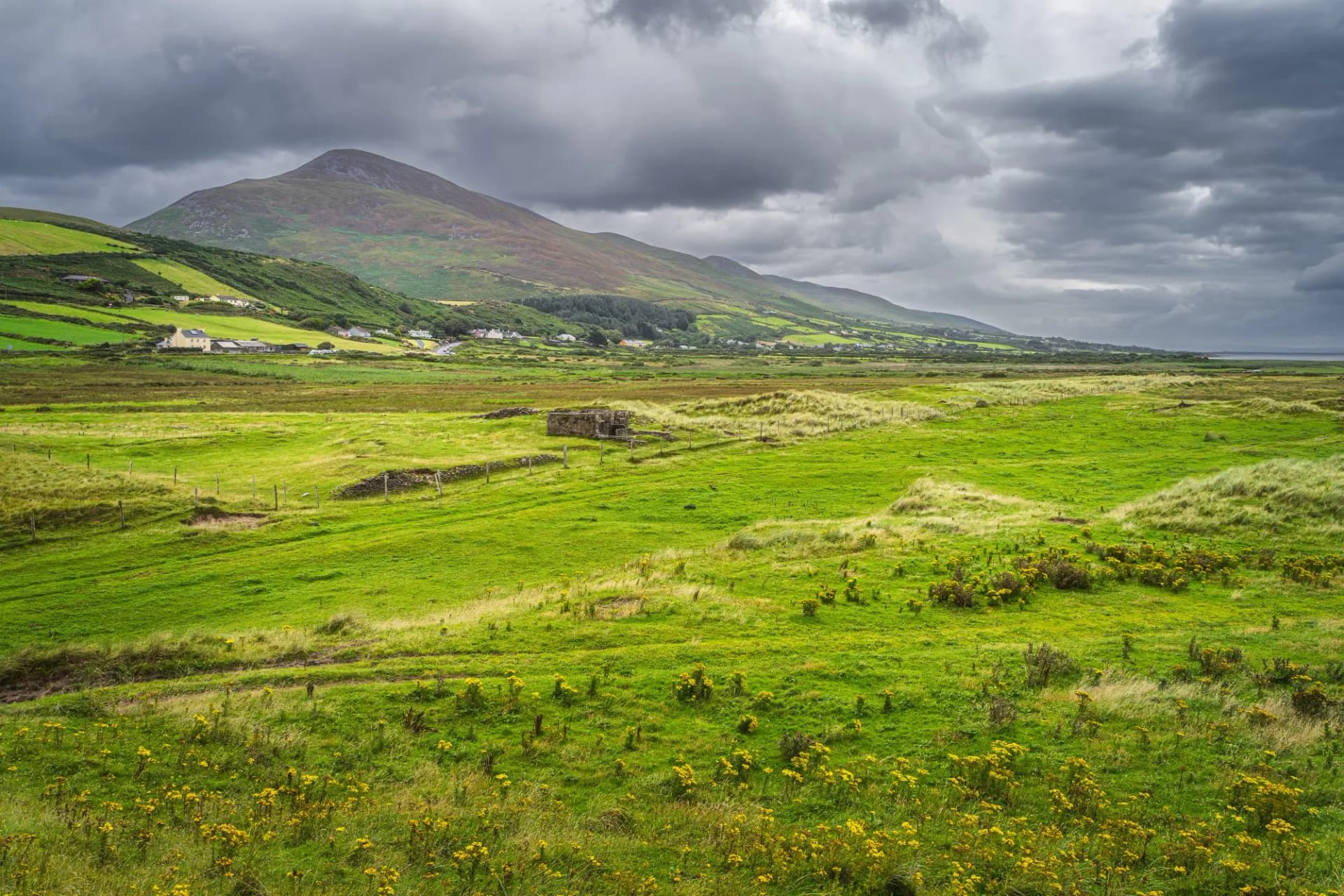 Slieve Mish Mountains and green meadow seen from dunes of Inch Beach a scenic section of Wild Atlantic Way, dramatic storm sky, Dingle, Kerry, Ireland