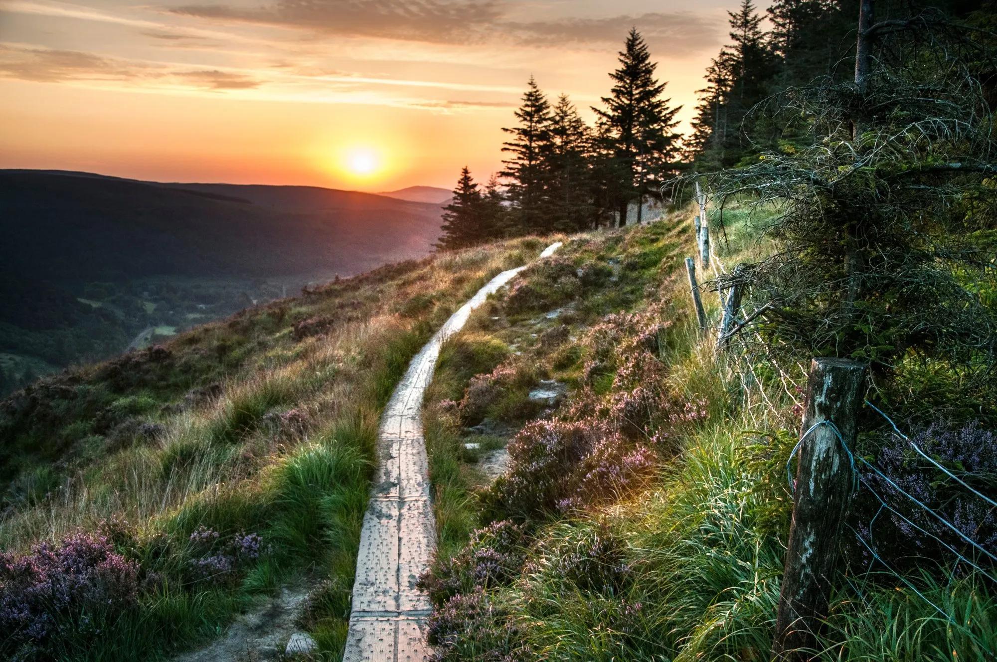 The Wicklow Way