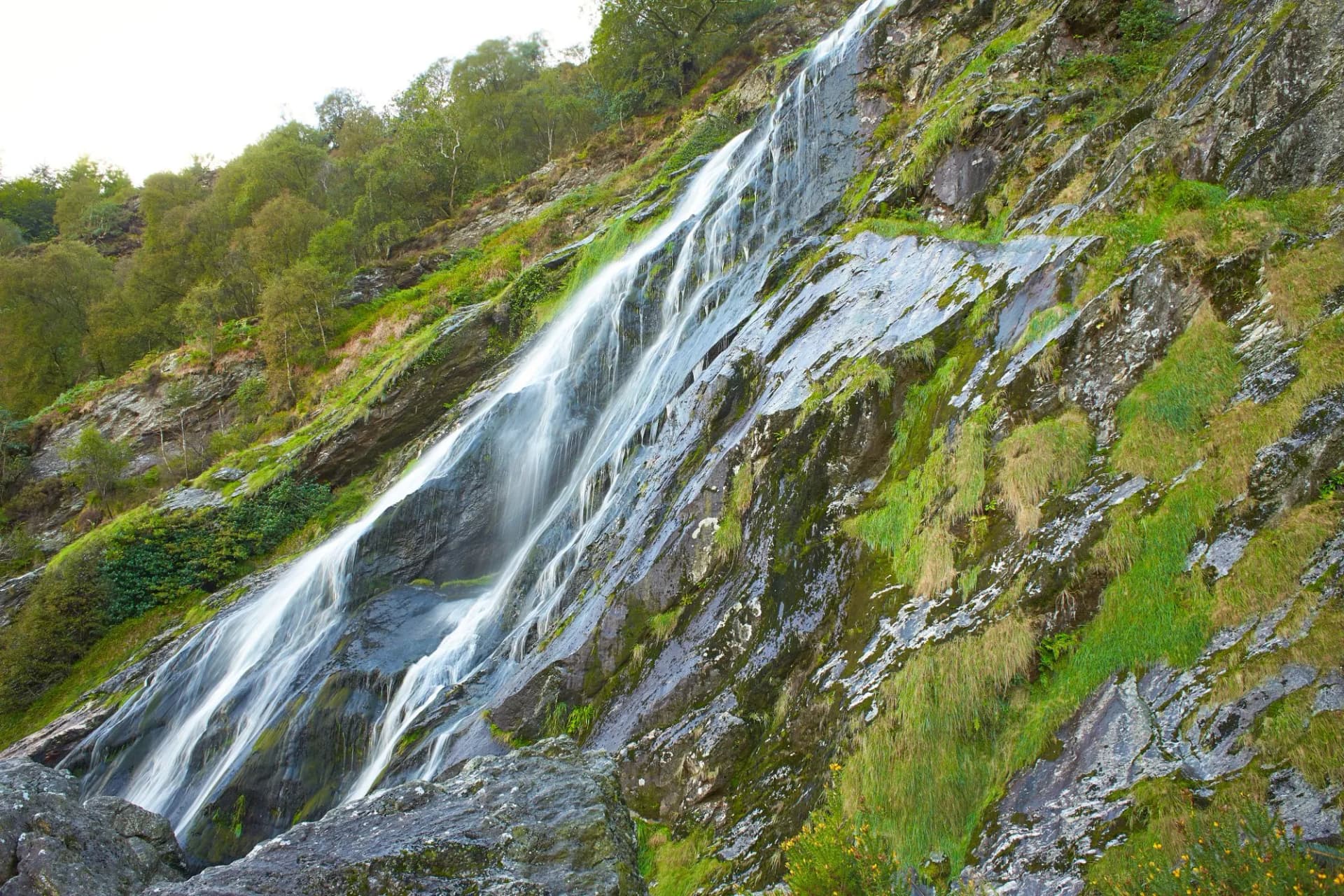 Powerscourt Waterfall cascading down a steep, mossy rock face surrounded by green trees.