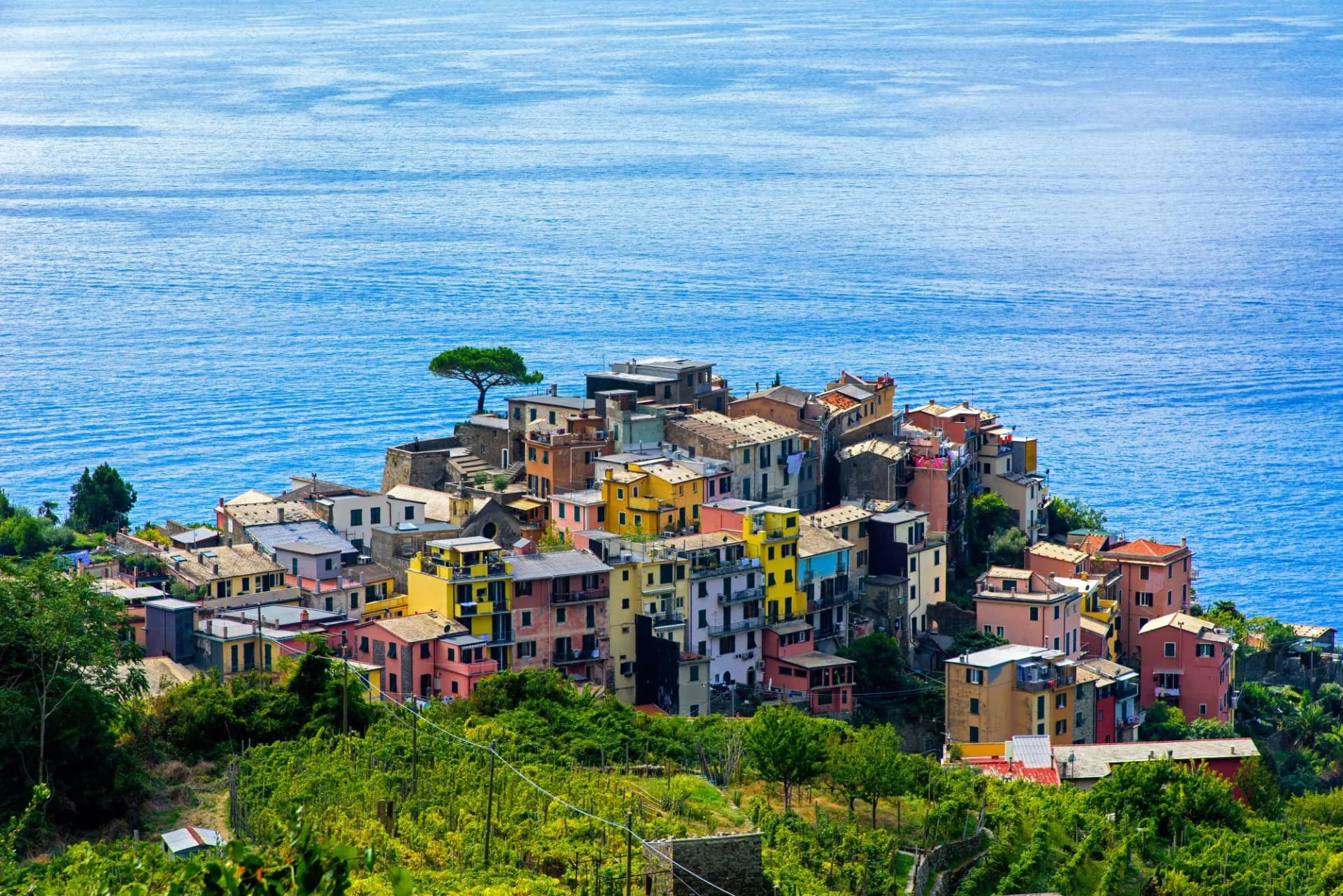 Colorful houses of Corniglia in Cinque Terre perched above bright blue Mediterranean Sea.