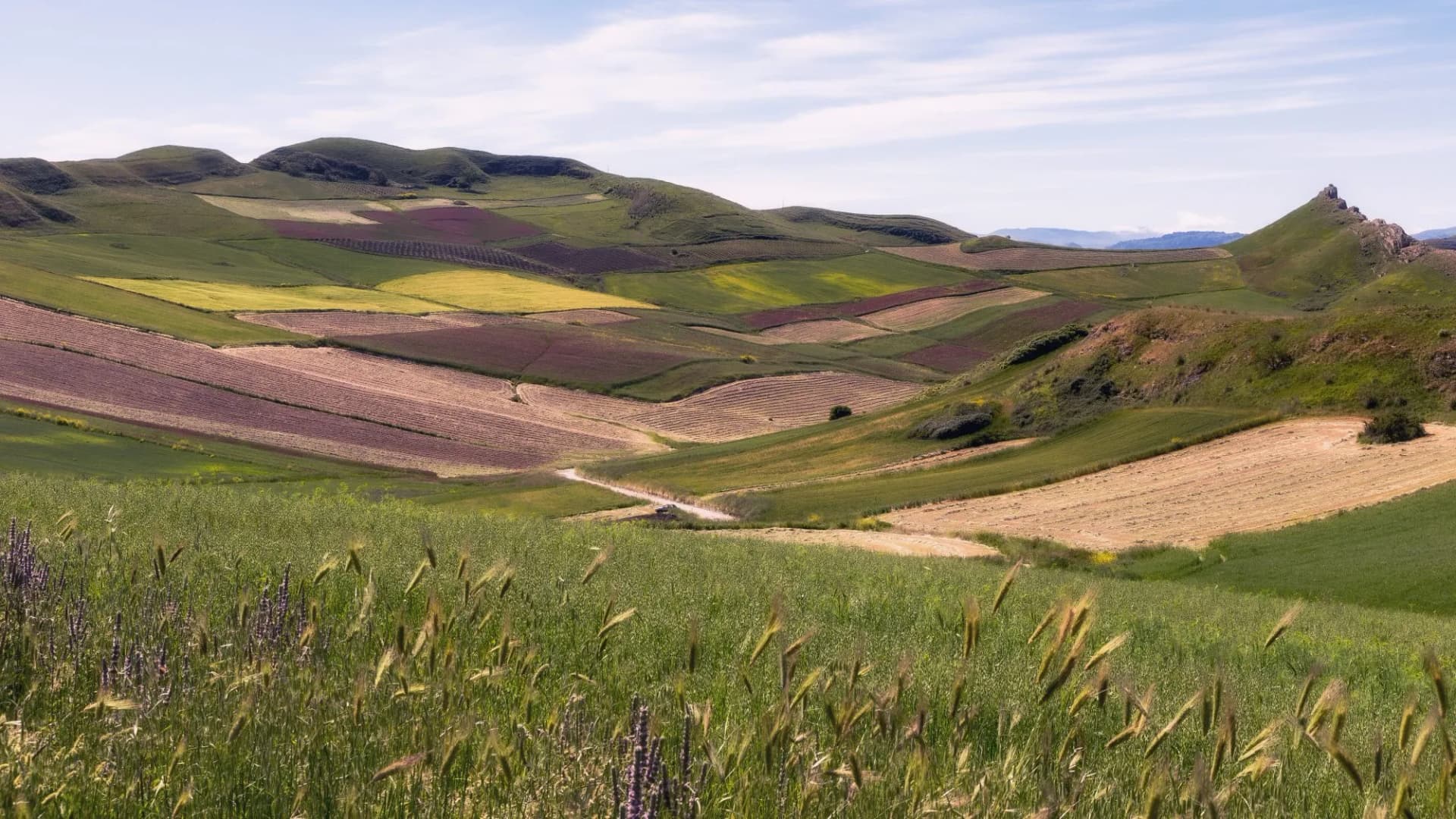 Landscape near Corleone in Inner Sicily in Spring in Italy, Europe