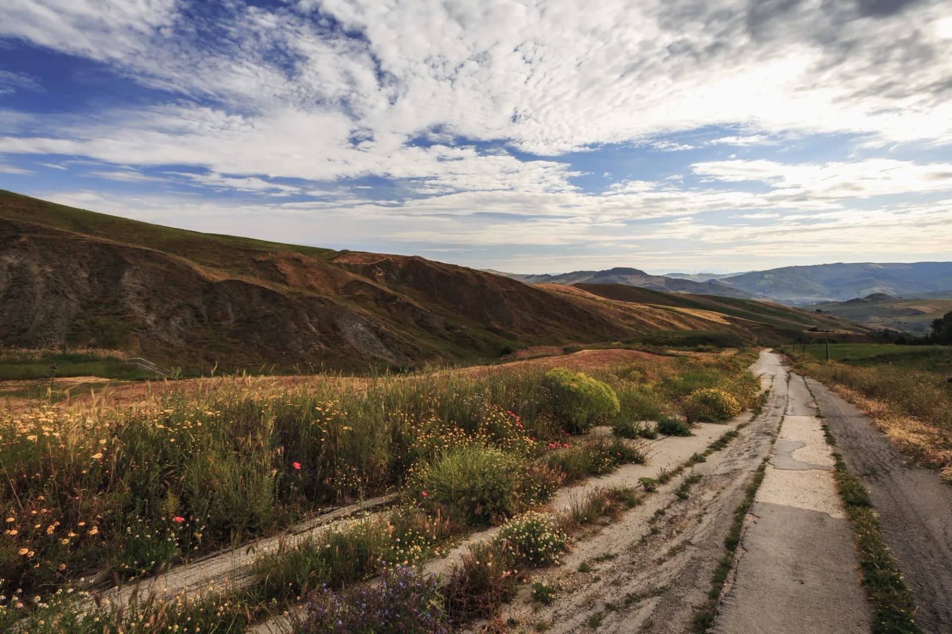 Sicilian Spring Hills Landscape