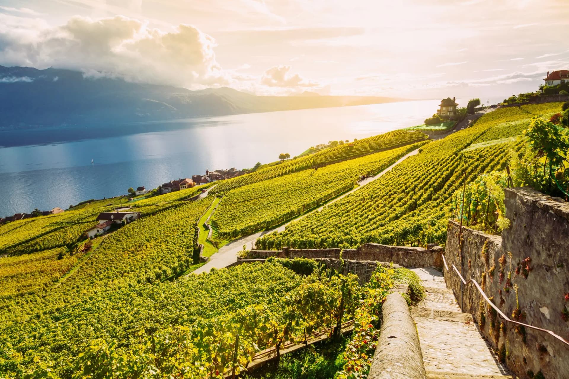 Lavaux, Switzerland: Lake Geneva and the Swiss Alps landscape seen from Lavaux vineyard hiking trail in Canton Vaud