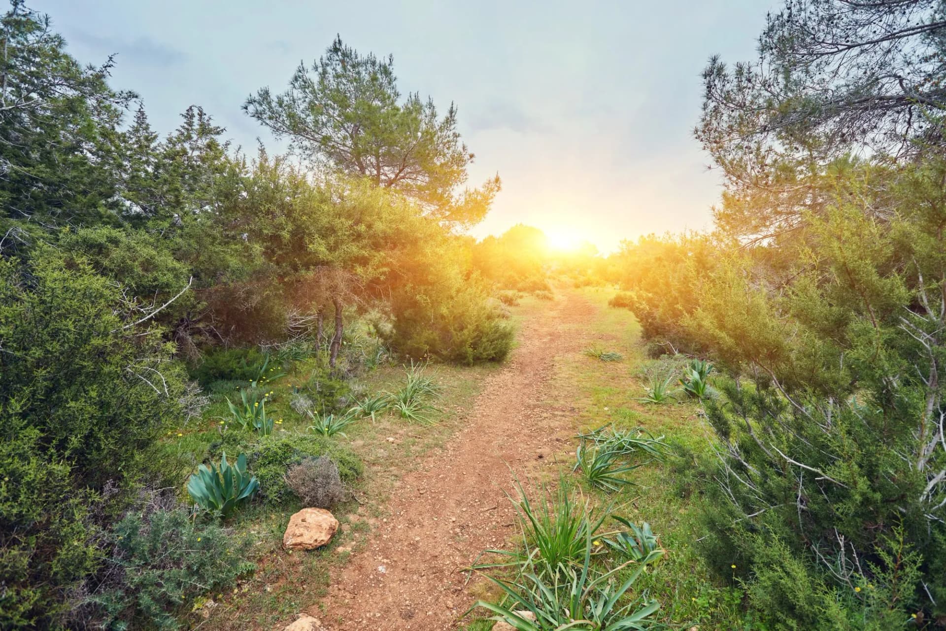 The sea on the trail of Aphrodite on Cyprus.