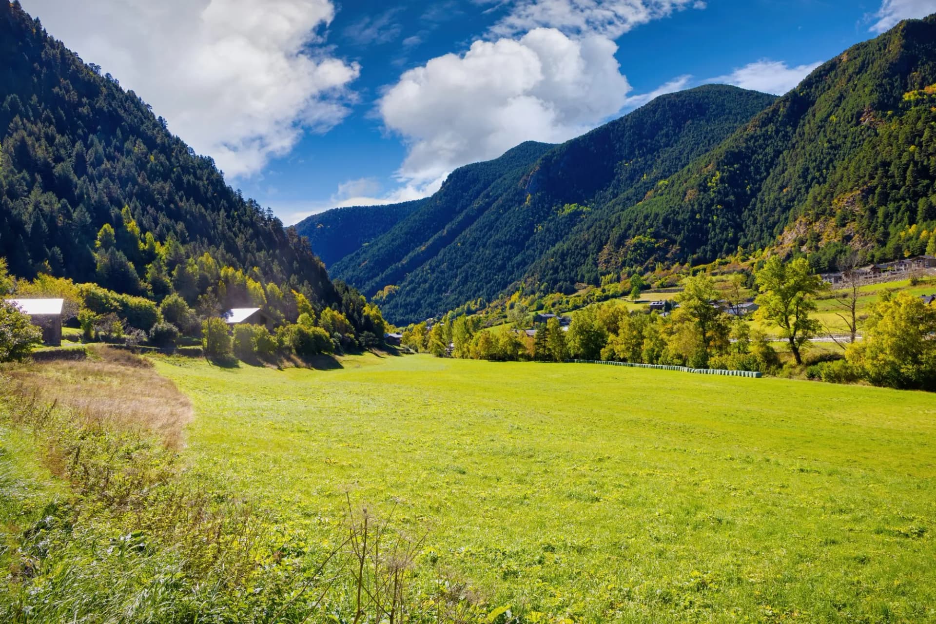 View of a meadow surrounded by forest and high mountains in autumn in Ordino, Andorra - 3