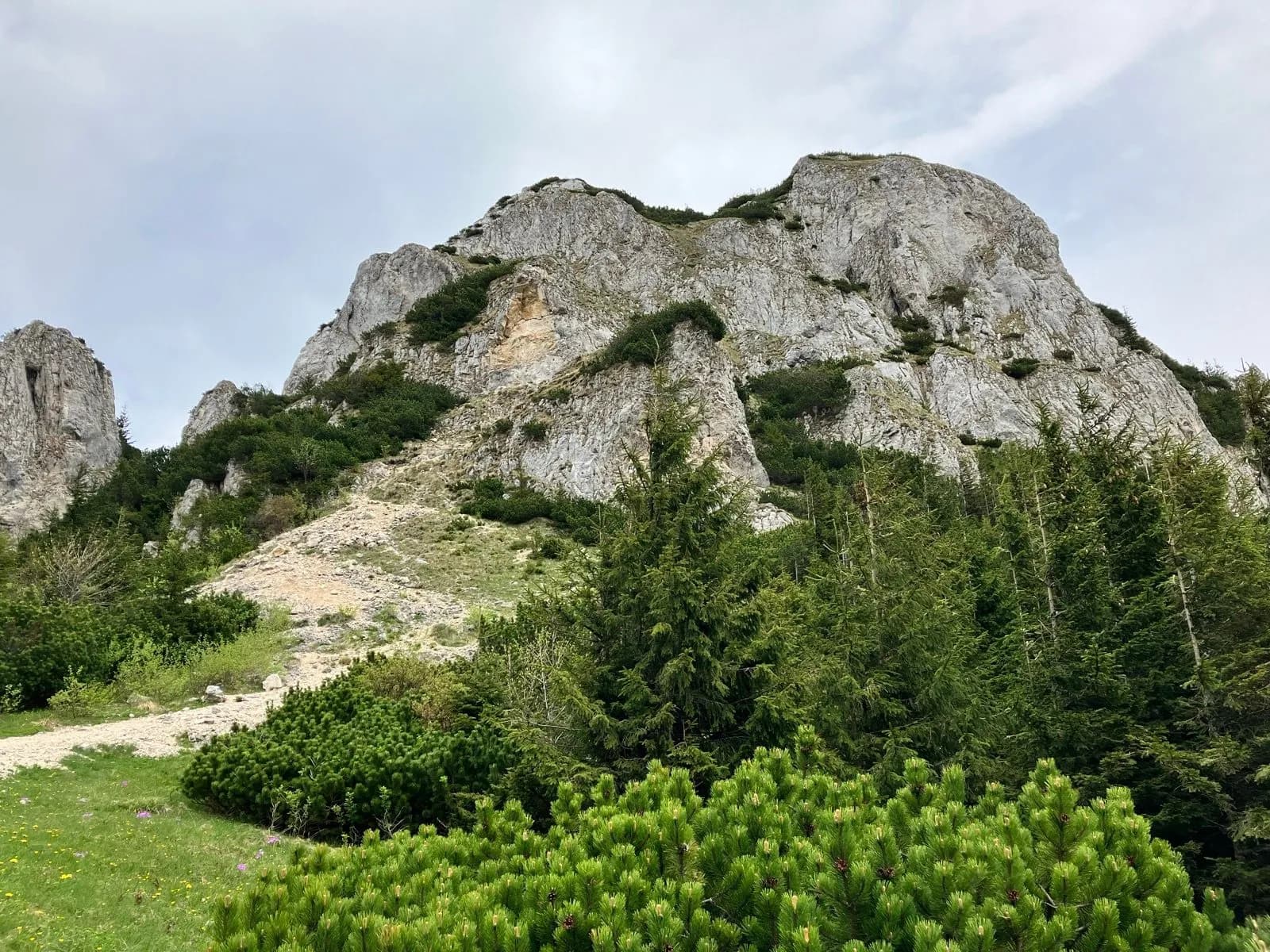 mountain trail transylvania