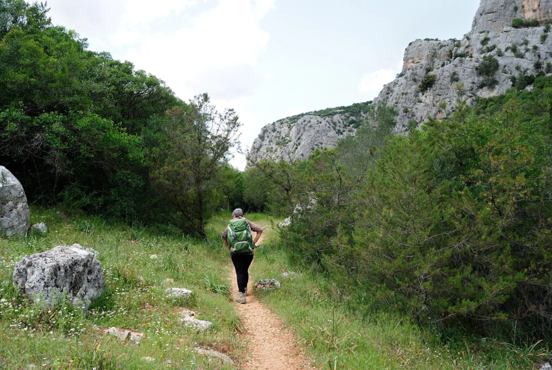 Il sentiero nella valle di Surtana