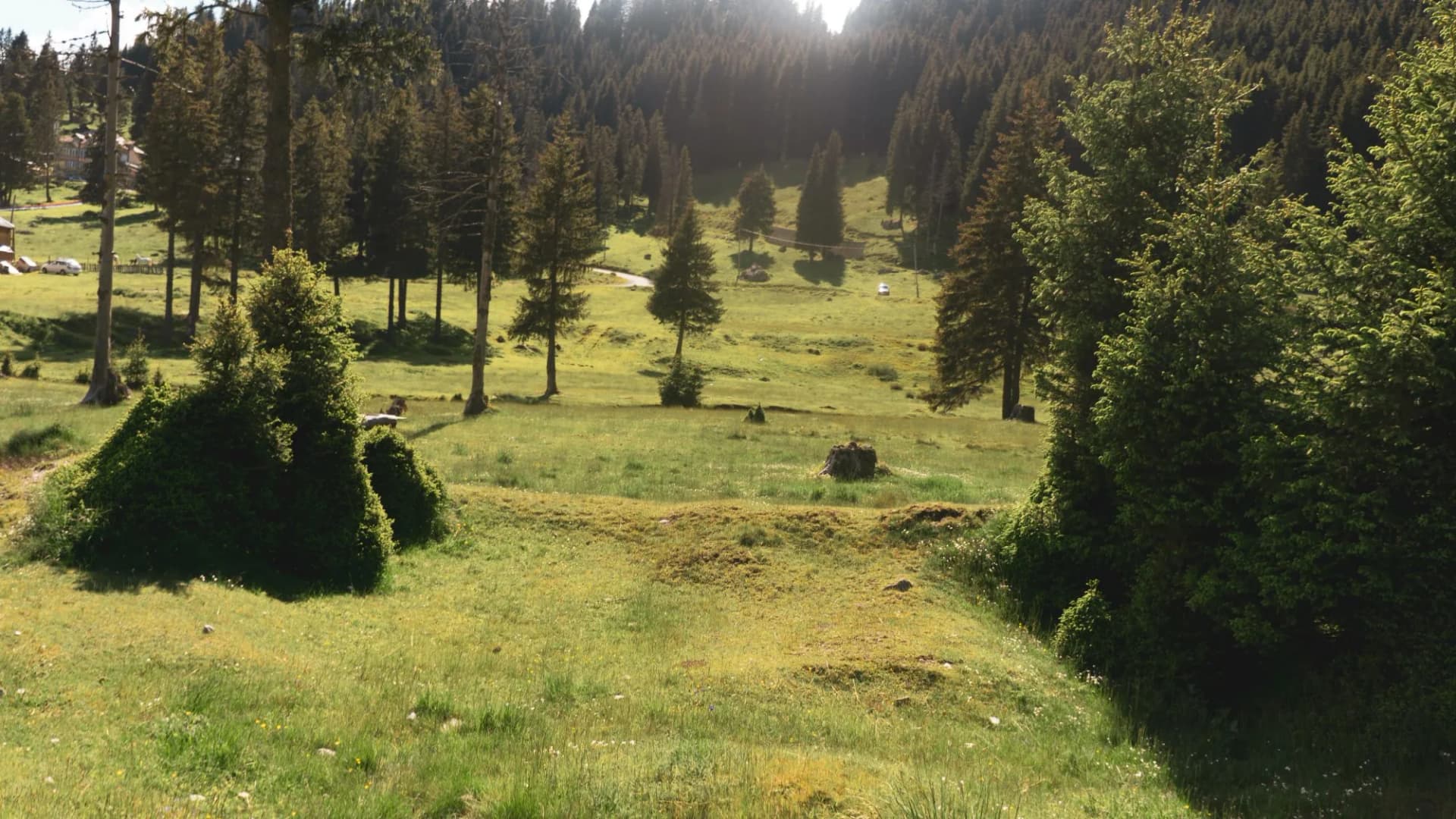 landscape in the mountains at Padina Romania