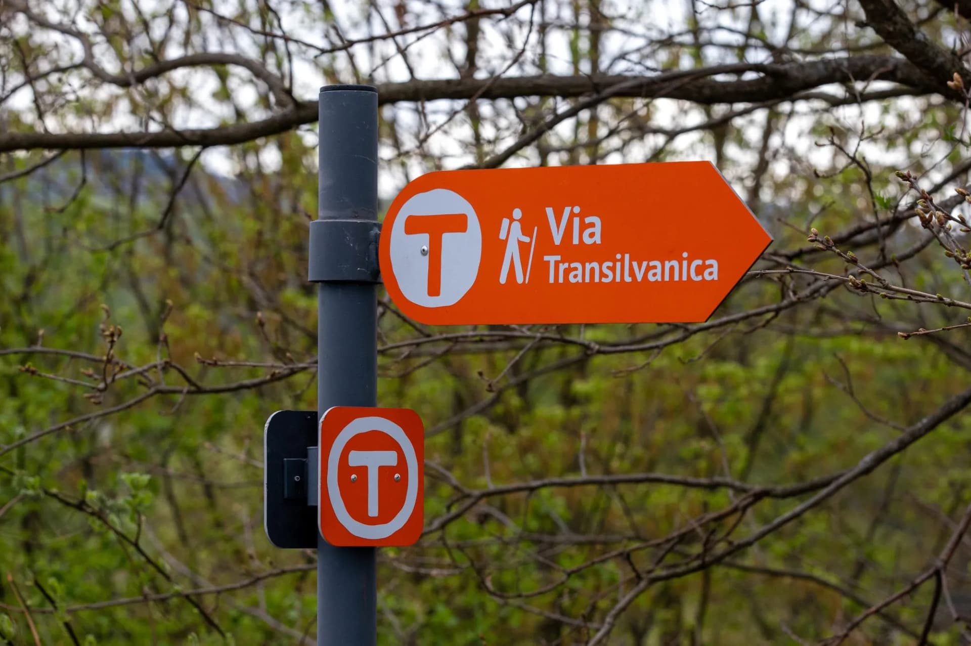 a close-up with Via Transilvanica tourist indicator in Romania