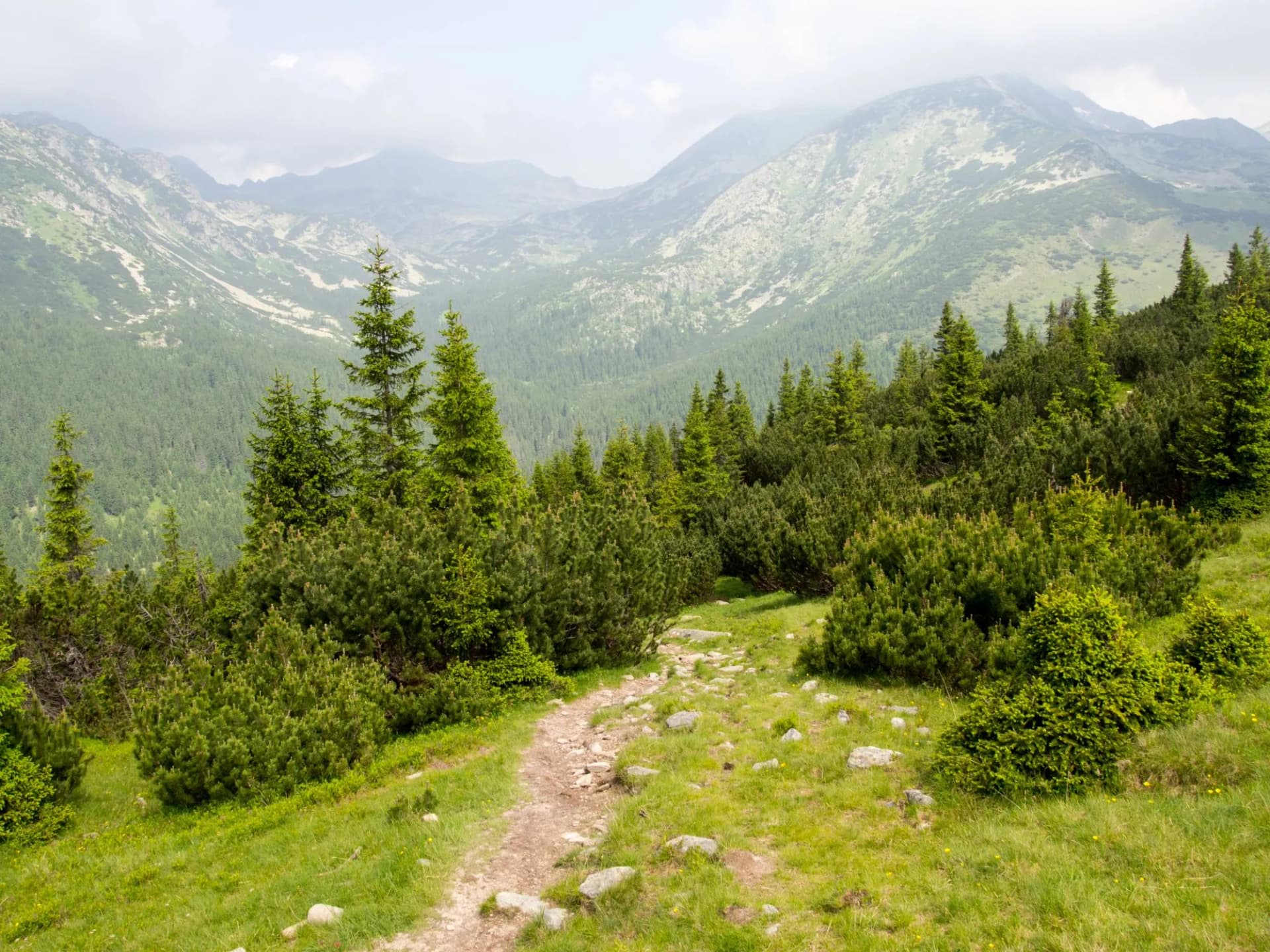 Retezat Natural Park Romania