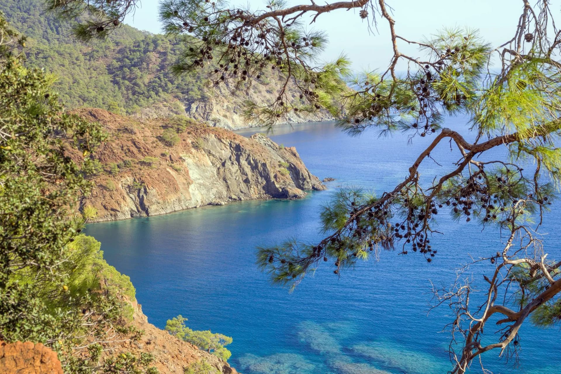 Beautiful summer coast with mountains, blue sea and pine trees. Cirali, Antalya Province in Turkey.