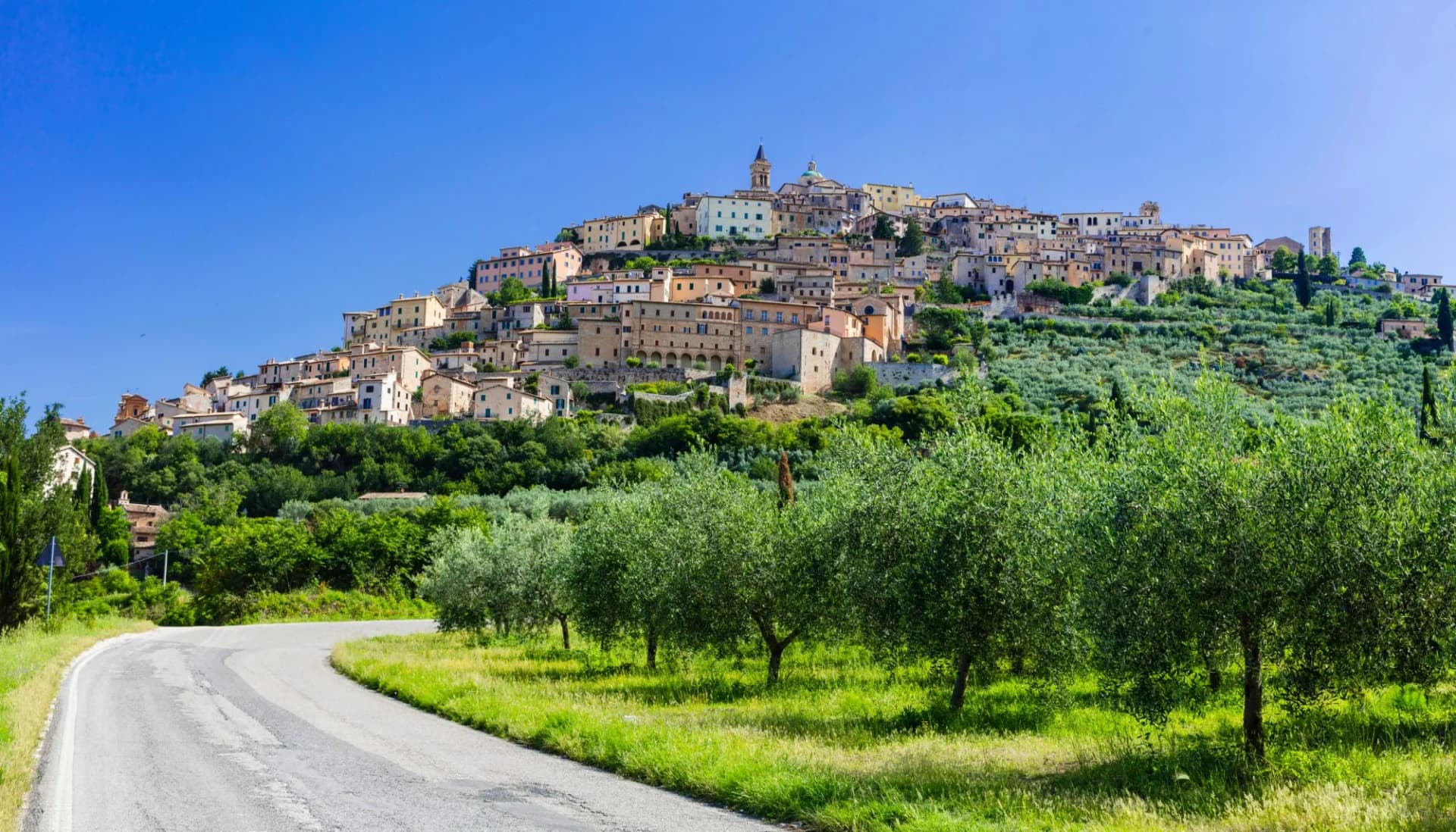 Italy, scenic Umbria region. View of beautiful medieval Trevi town  with olive trees
