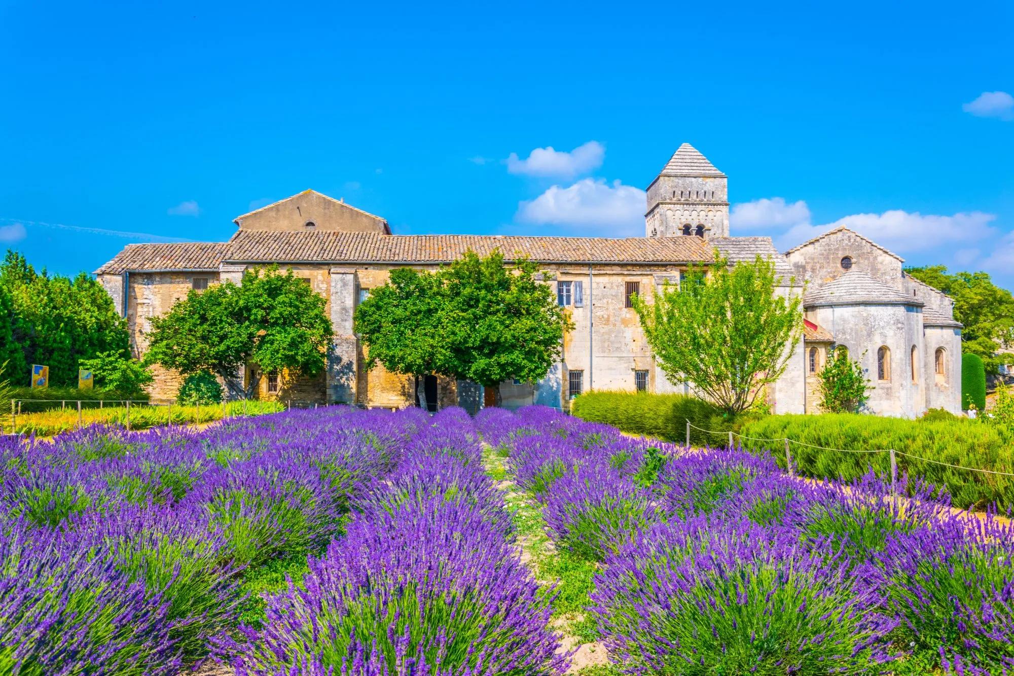 Van Gogh’s Pathways in Provence 