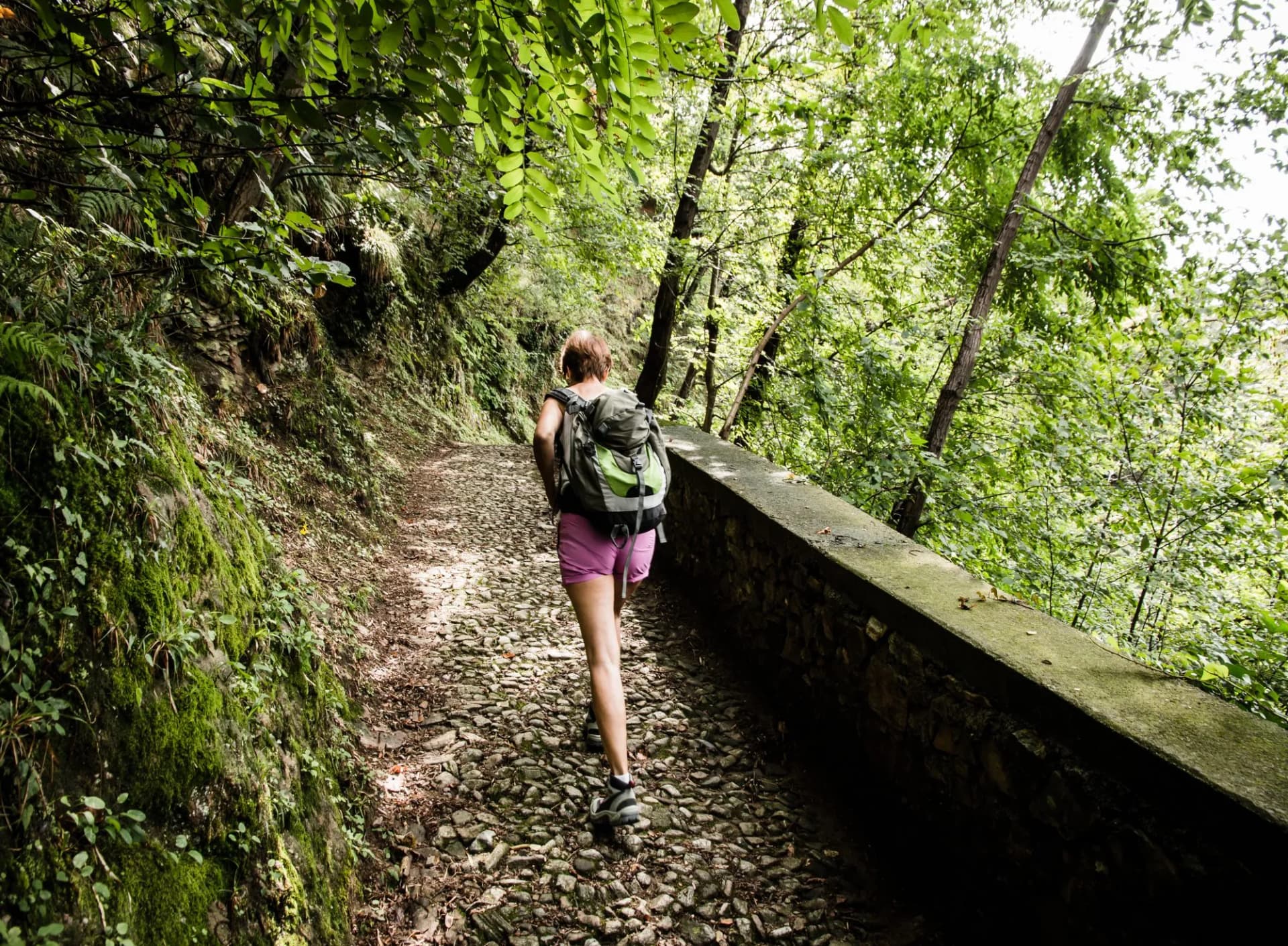 sentiero del viandante - lago di Como - Italy