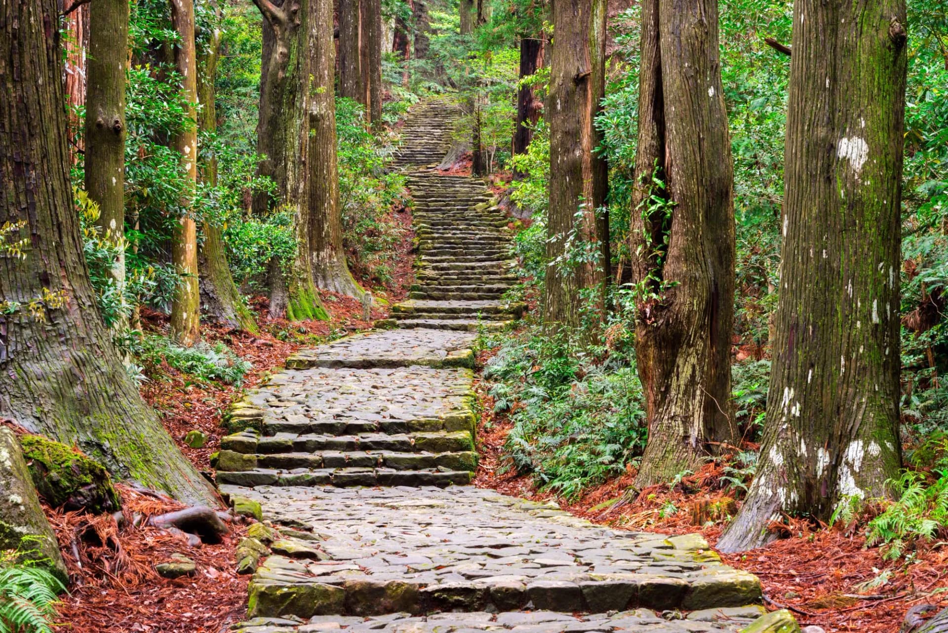 Kumano Kodo ancient trail in Nachi, Wakayama, Japan