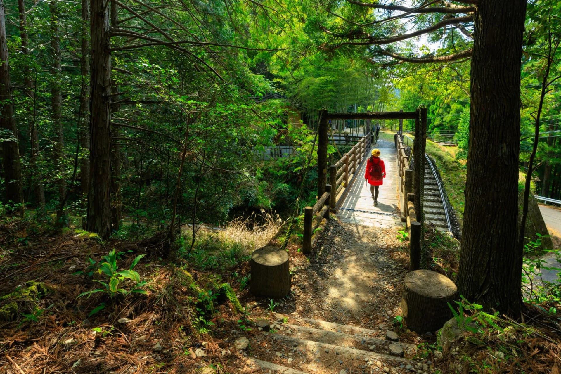 Trekking in Kumano Kodo