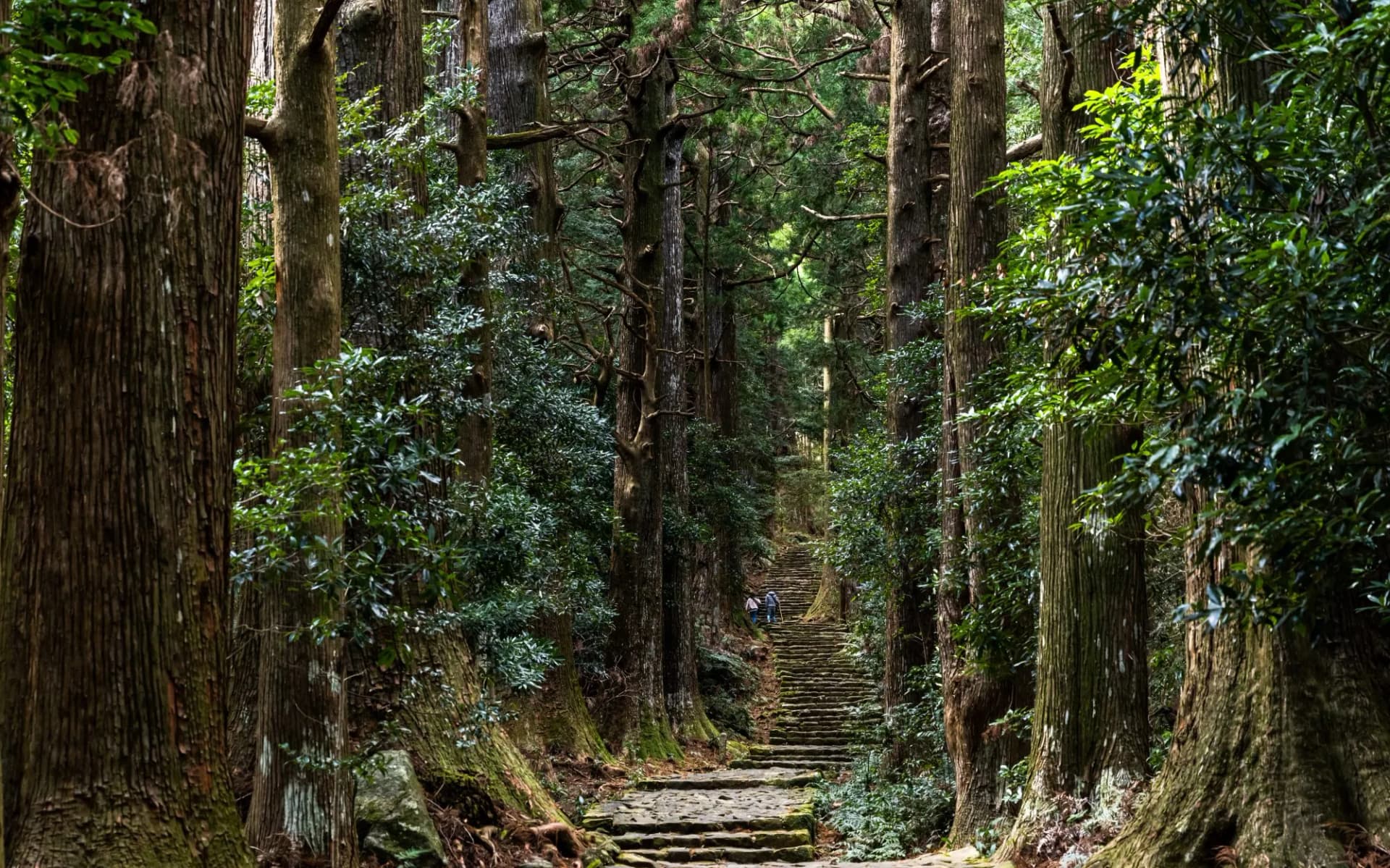 kumano kodo trail leading to Kumano-Nachi Taisha