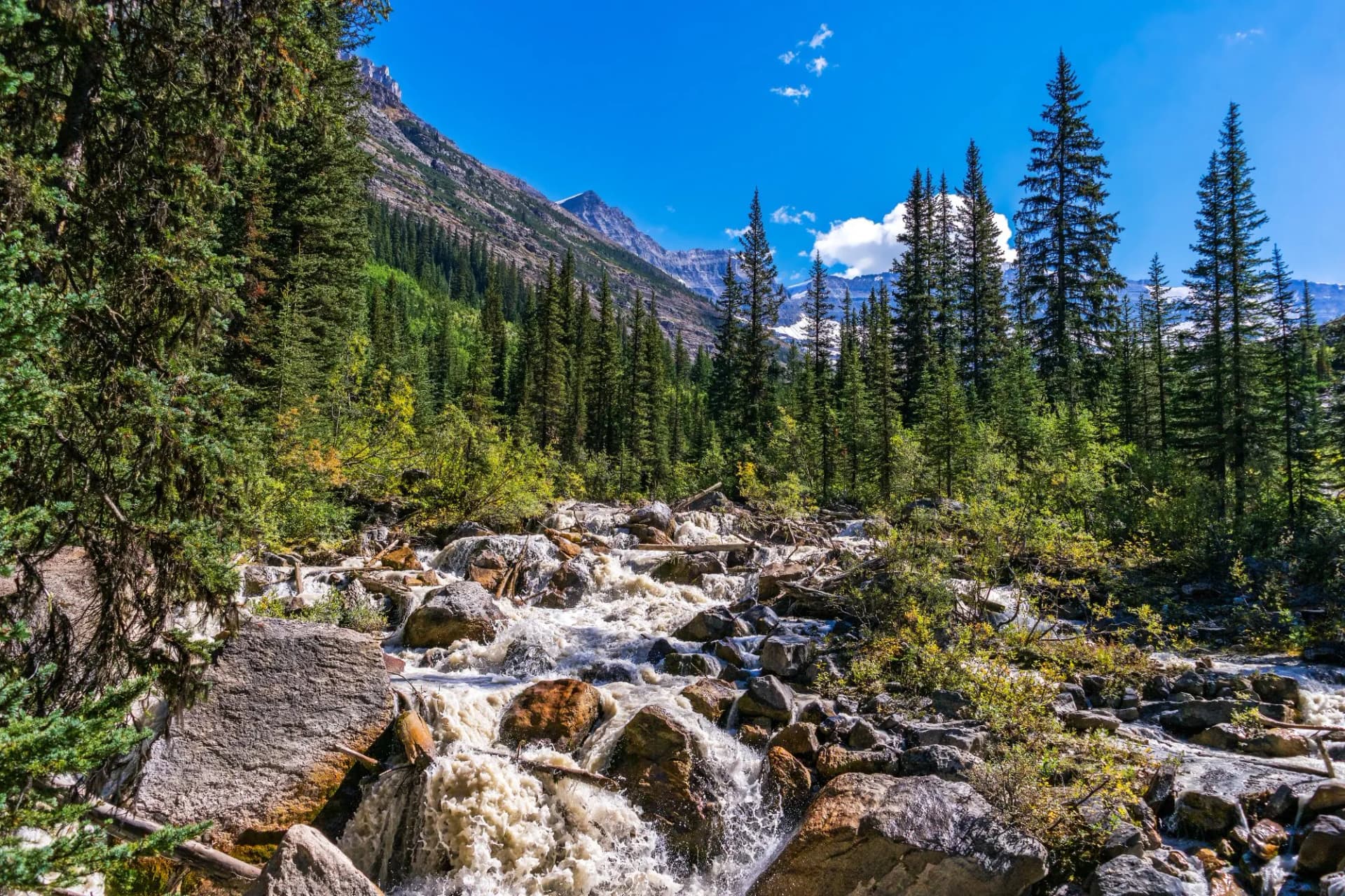 Rushing glacial stream over rocks surrounded by pine forest and mountains under blue sky.