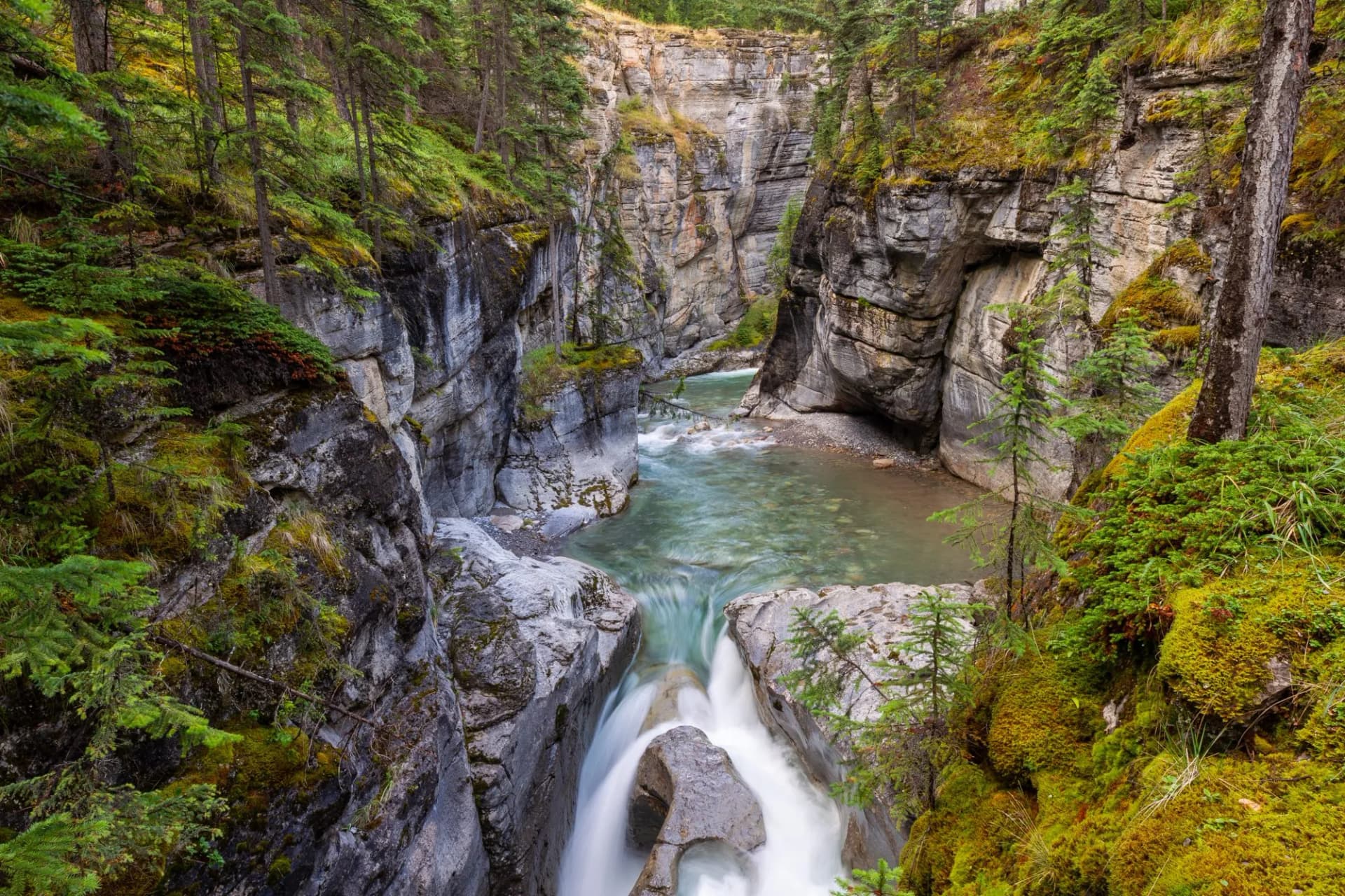 River flowing through Maligne Canyon with steep mossy rock walls and evergreen trees.