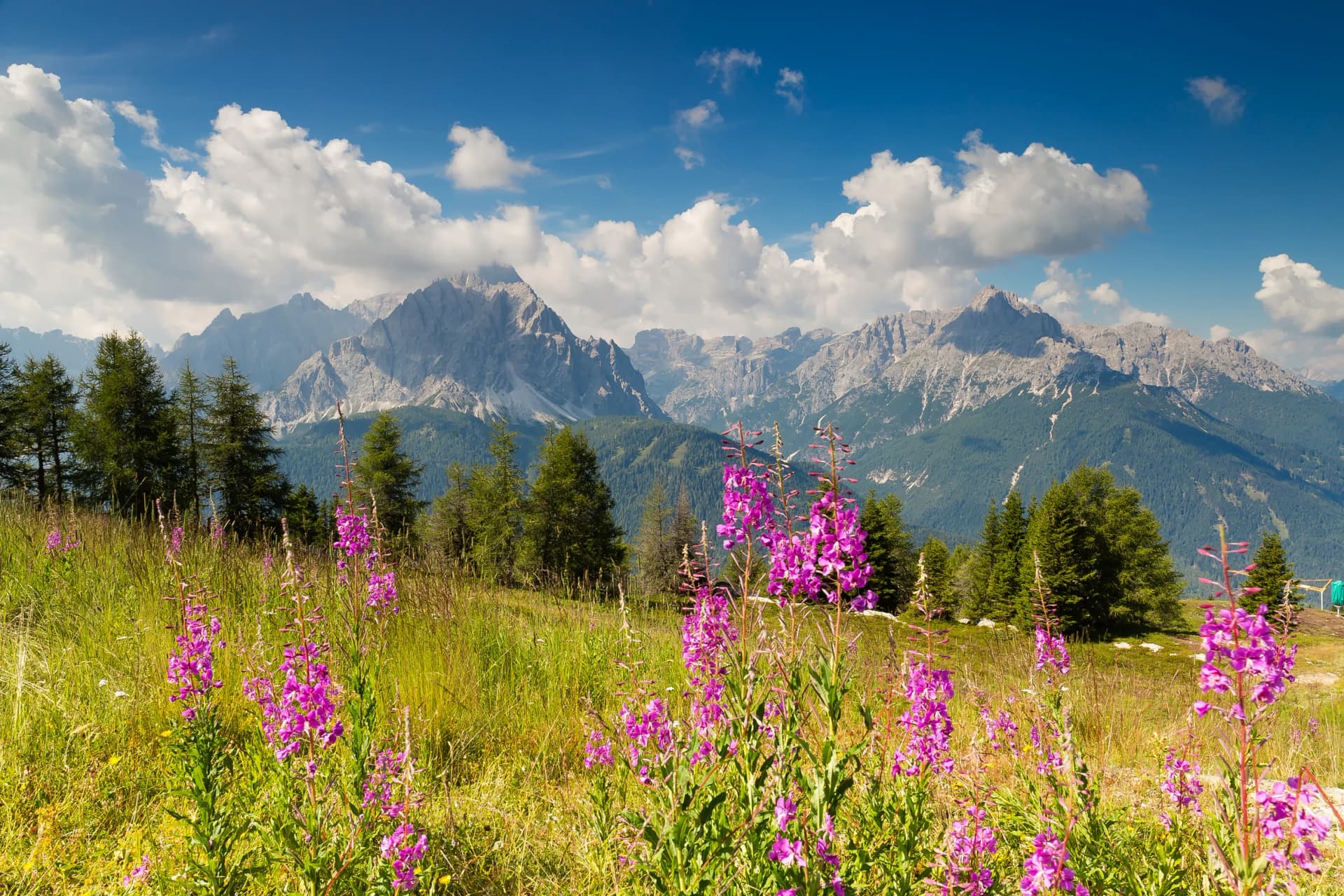 Vista panoramica dal monte Elmo